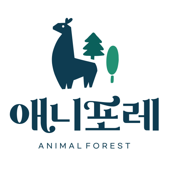 애니포레 사진
