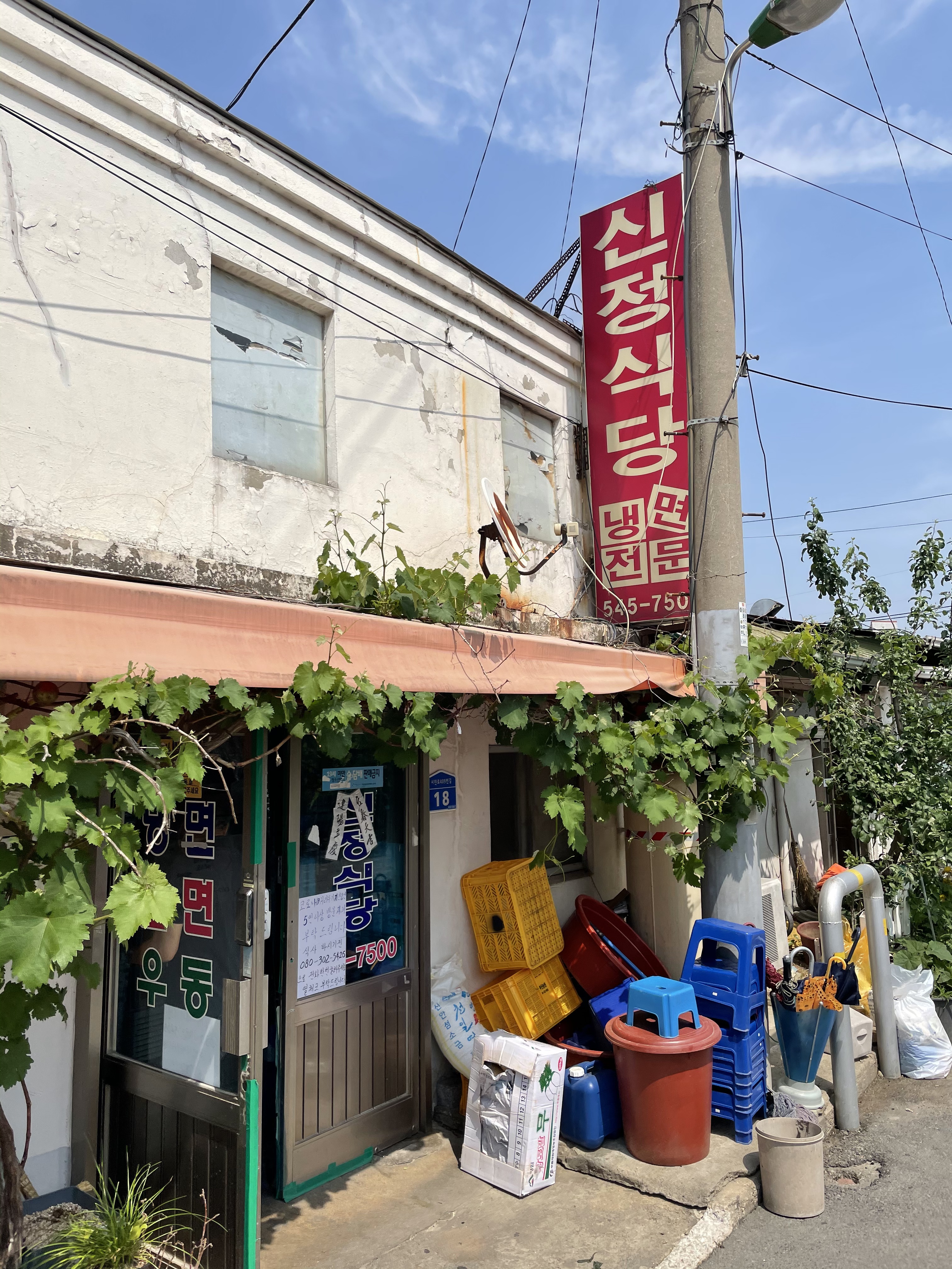 신정식당 사진 2