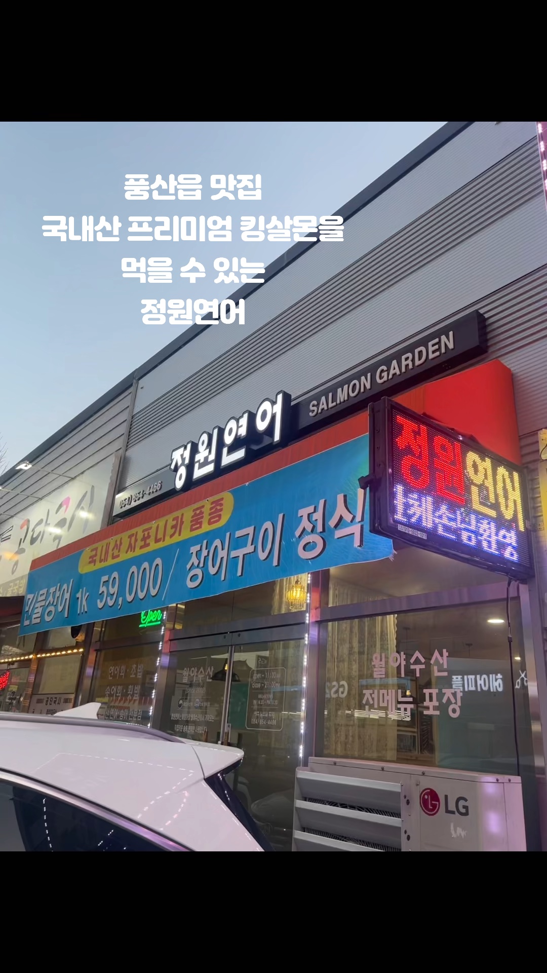 정원연어 사진 2