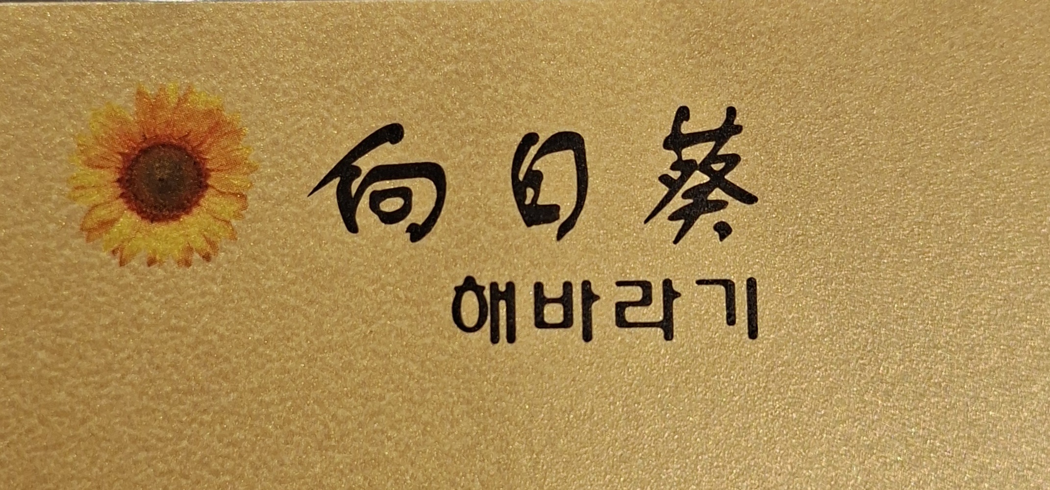 해바라기 사진