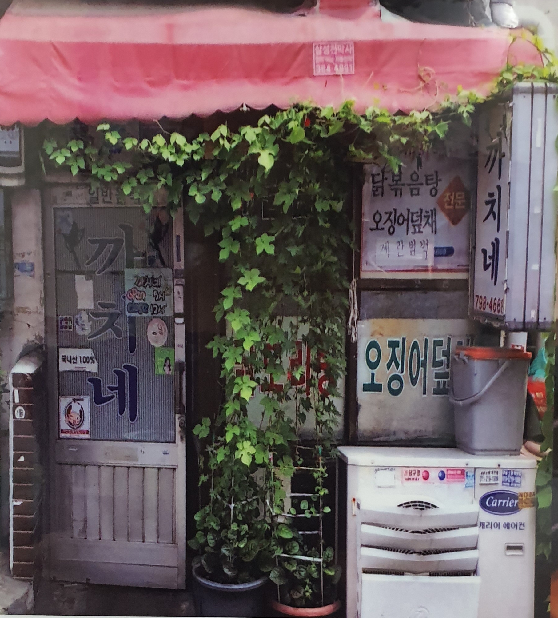 까치네 사진 1