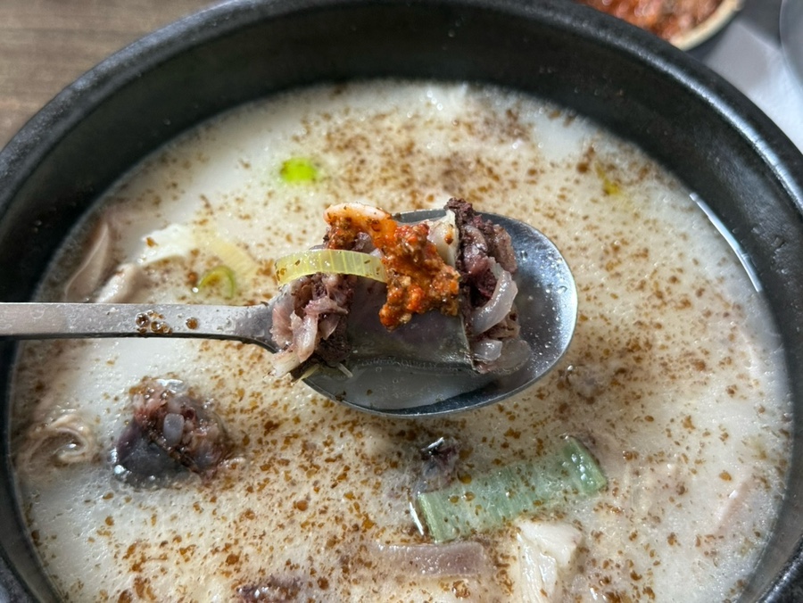 신설집 사진 4