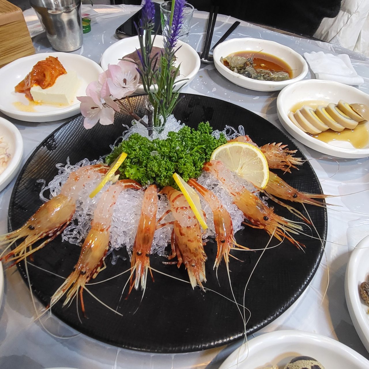은정이네 사진