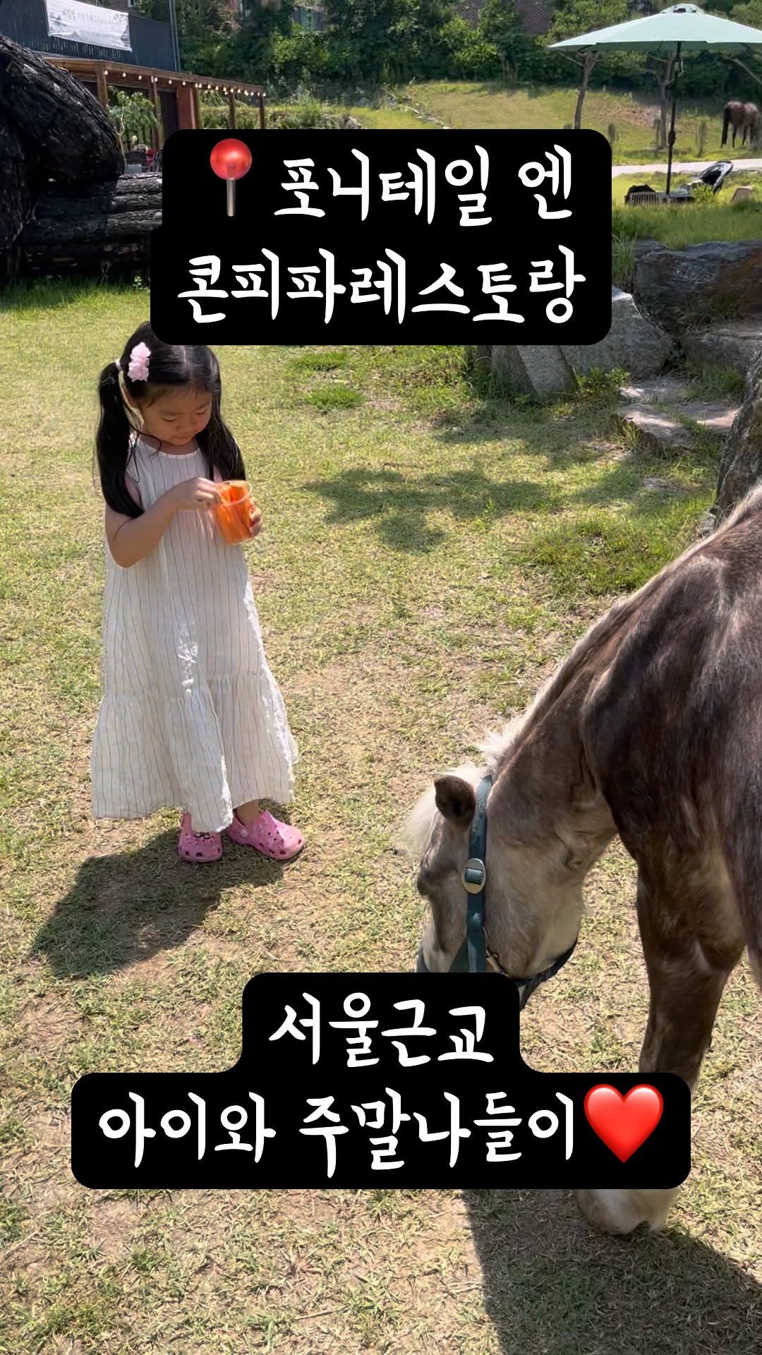 포니테일&꼰파파레스토랑 사진 2