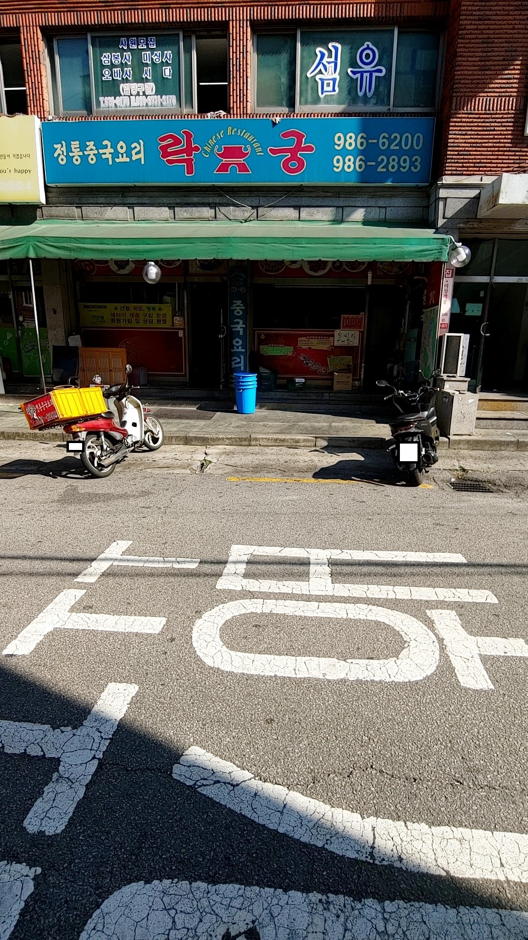 락궁 사진 5