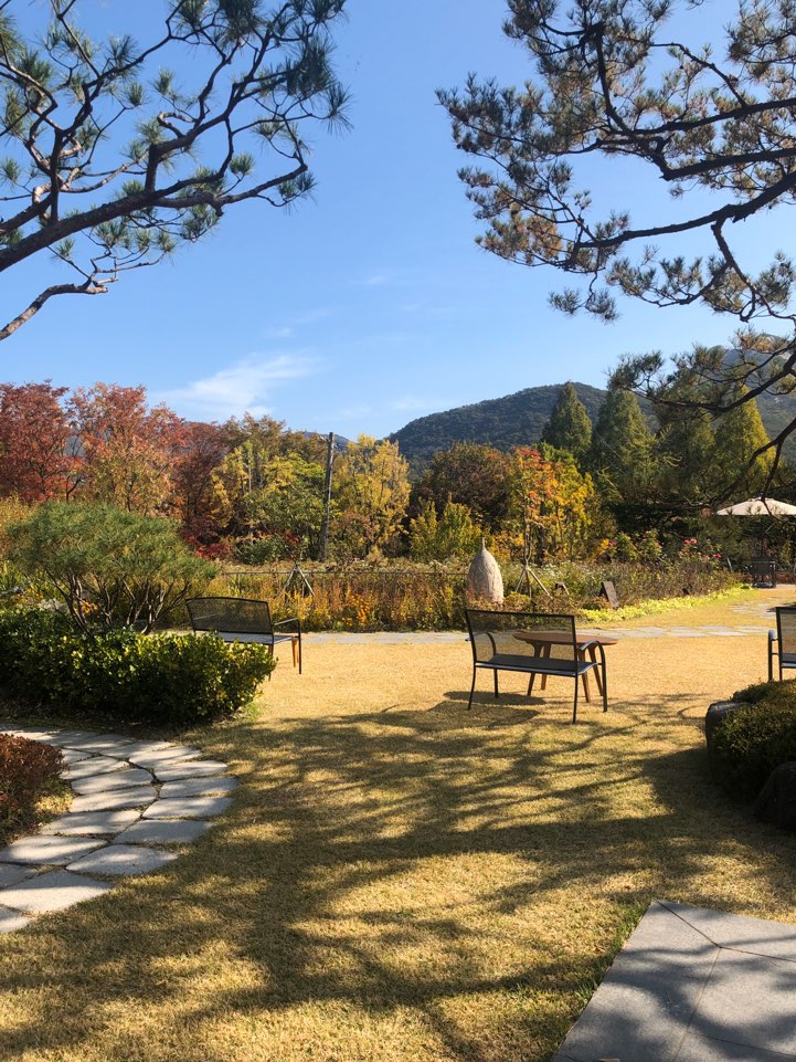 포인트빌 사진 4