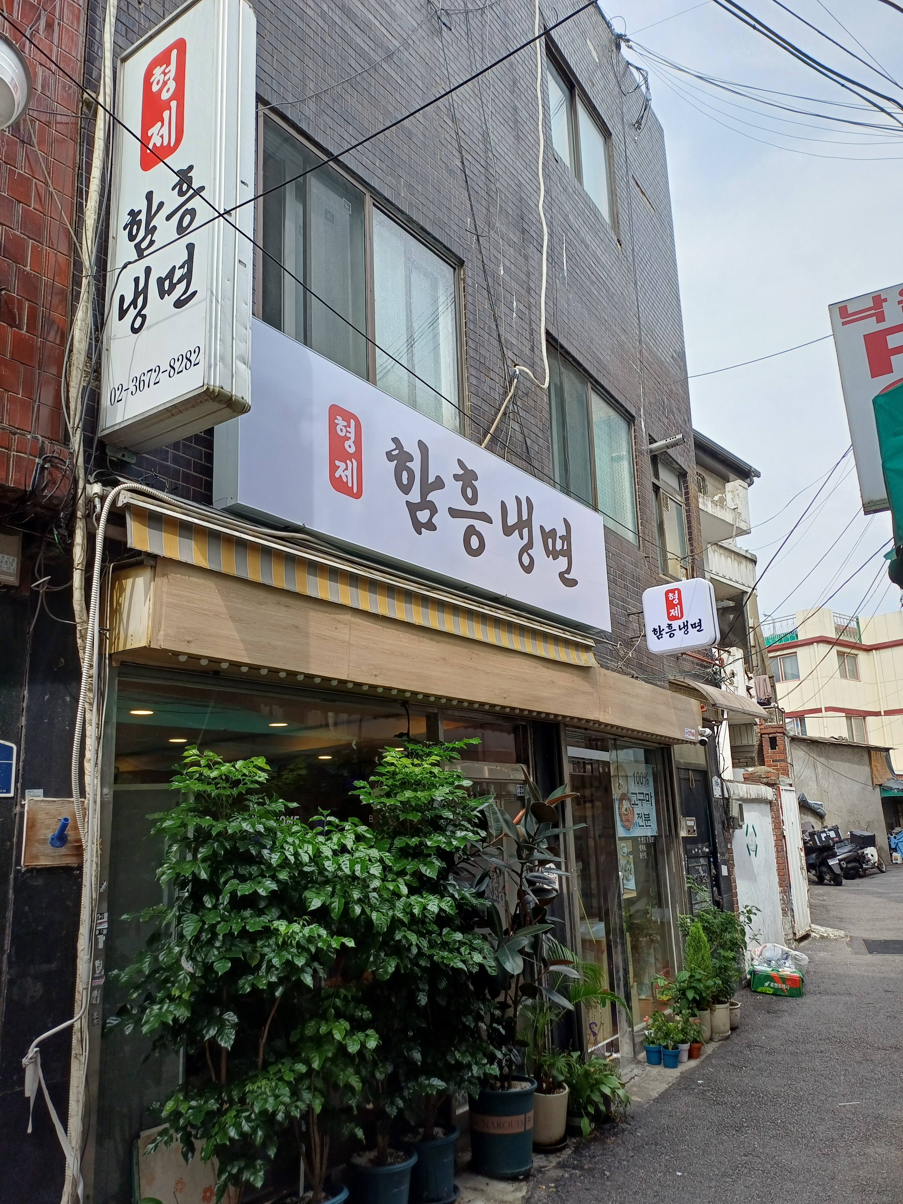 형제냉면 사진 1