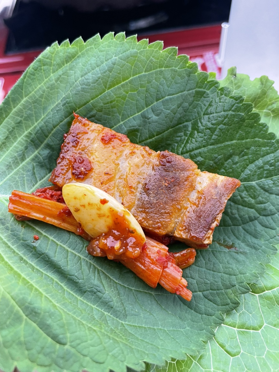 진영이네 사진 3