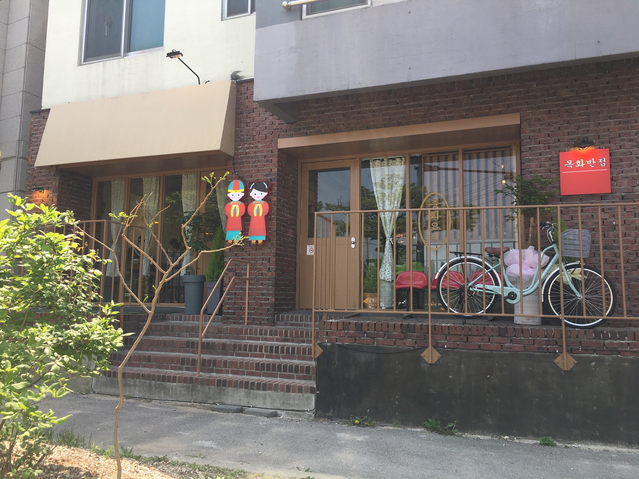 목화반점 사진 1