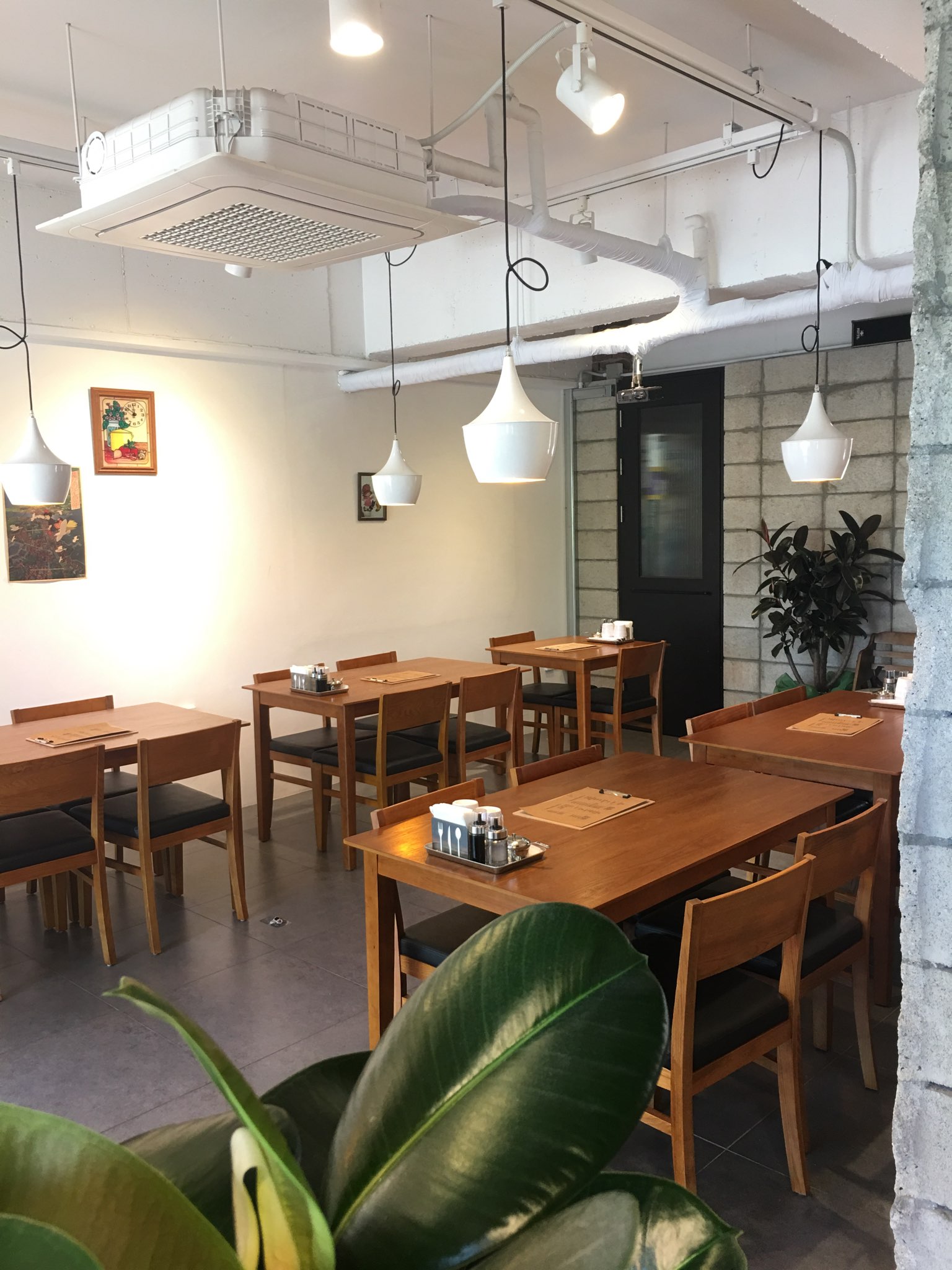목화반점 사진 4