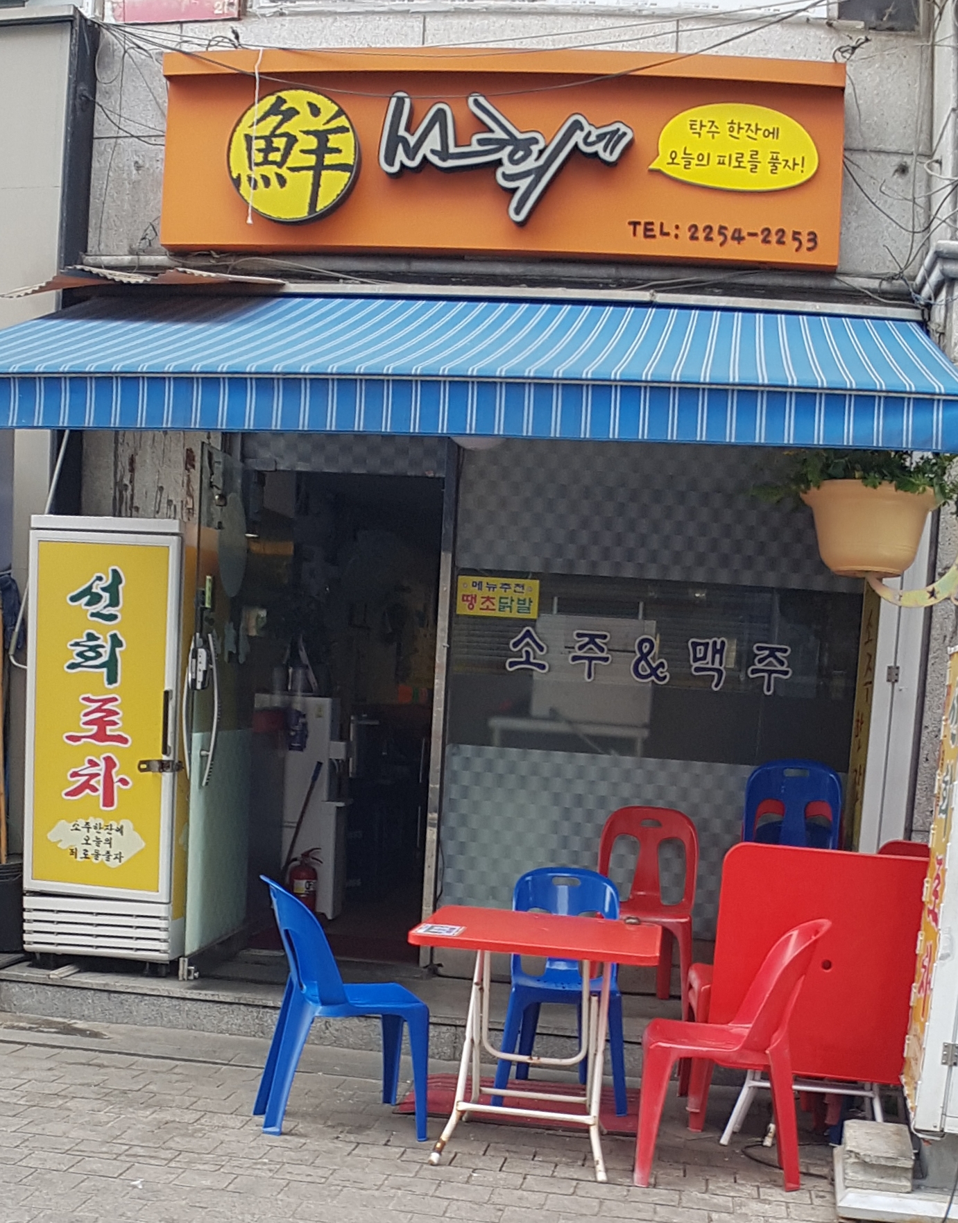 선희네 사진 1