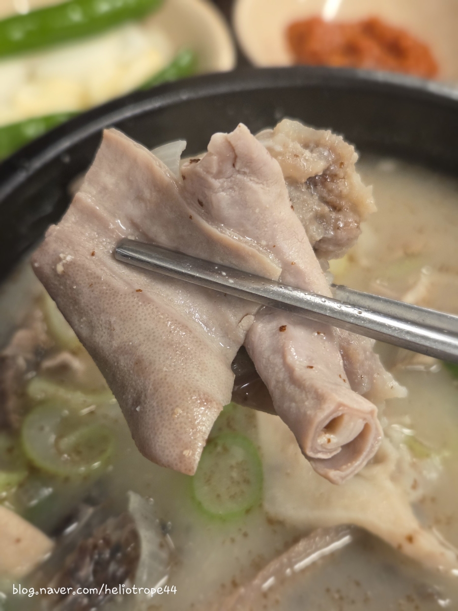 원조호남순대국 사진 4