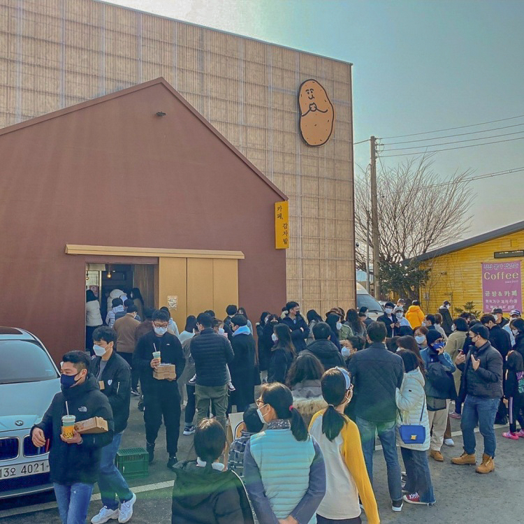 감자밭 사진 3