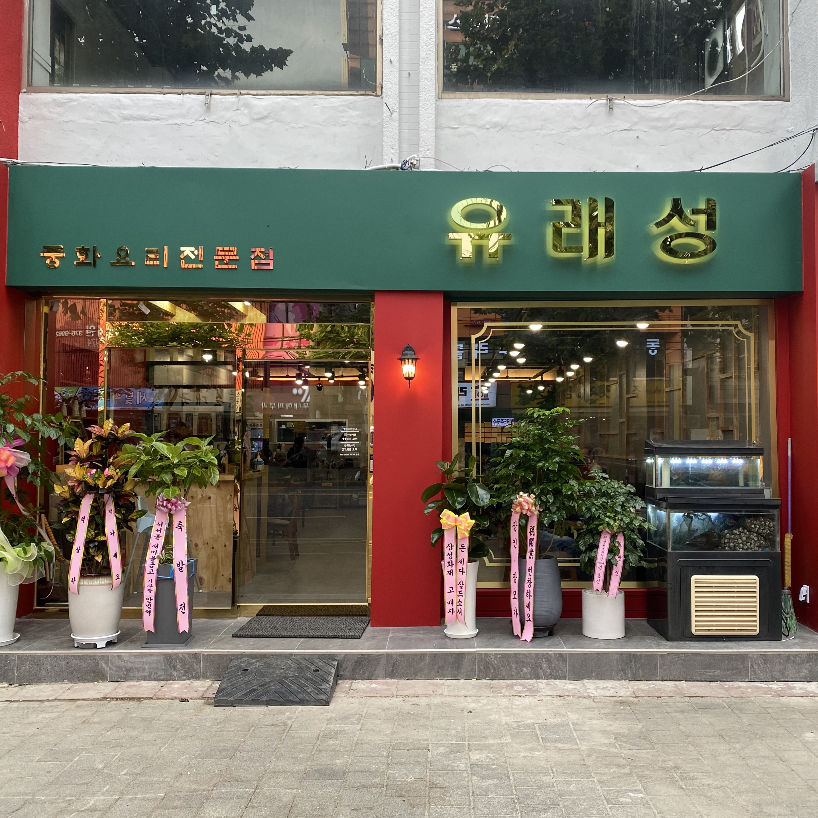유래성 사진 1