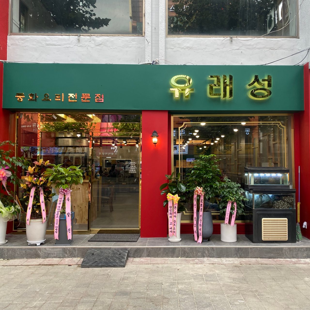 유래성 사진