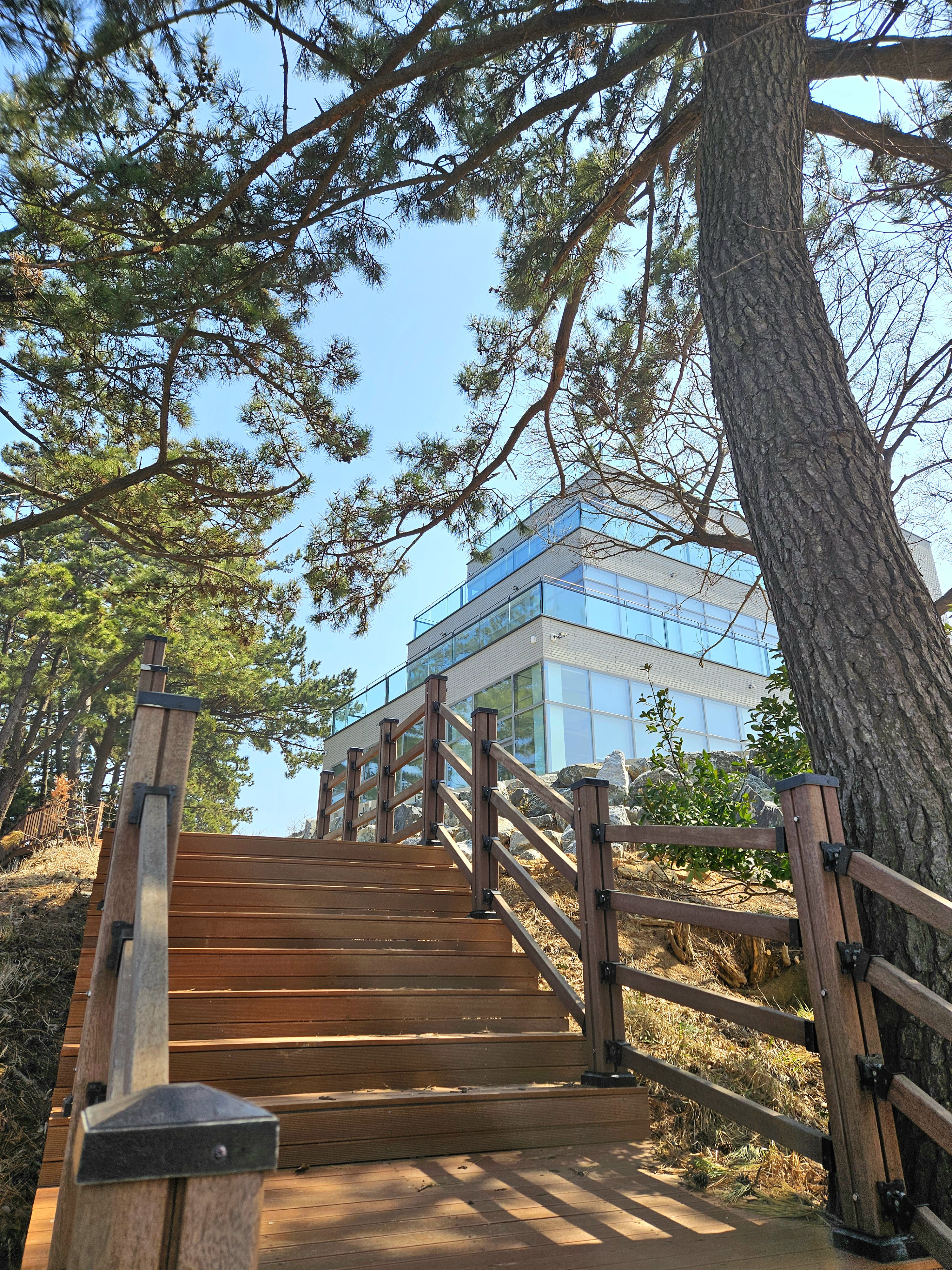 플라르 사진 2