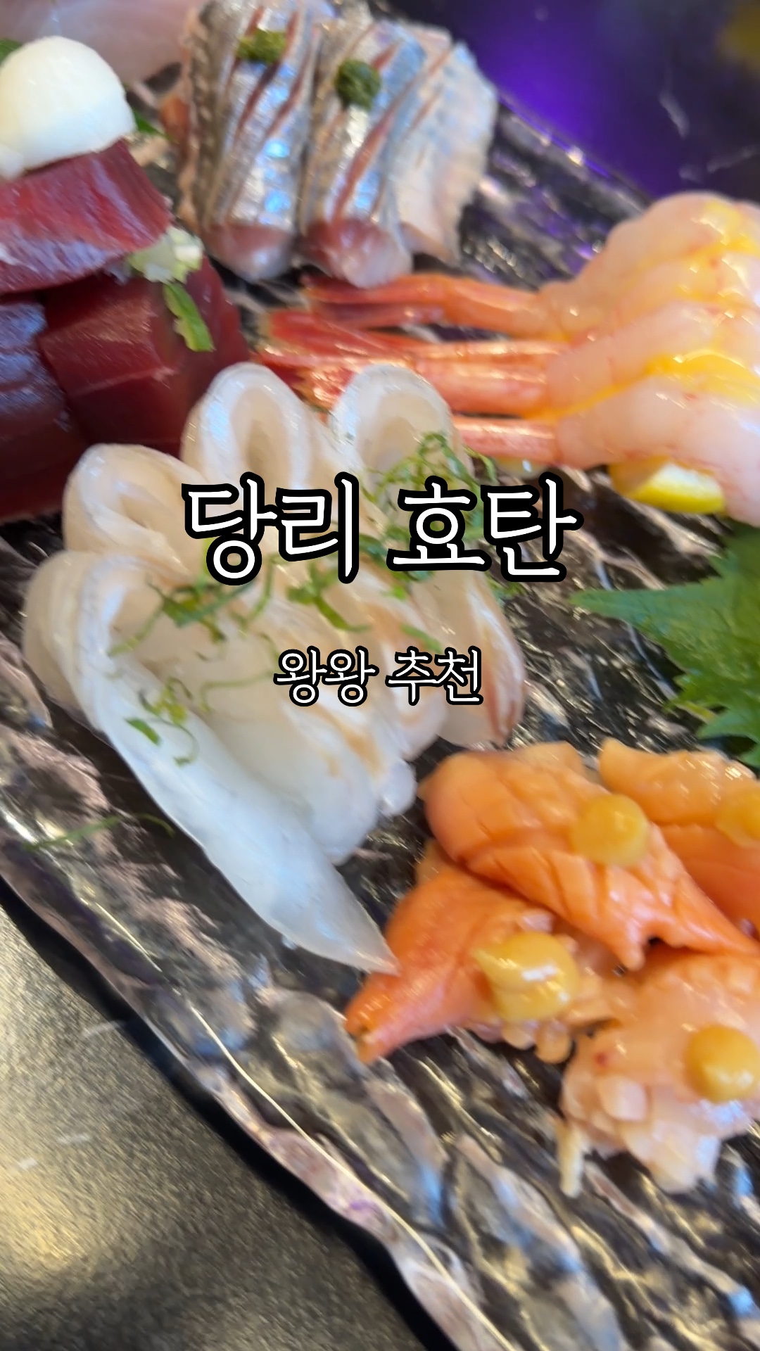 효탄 사진 2