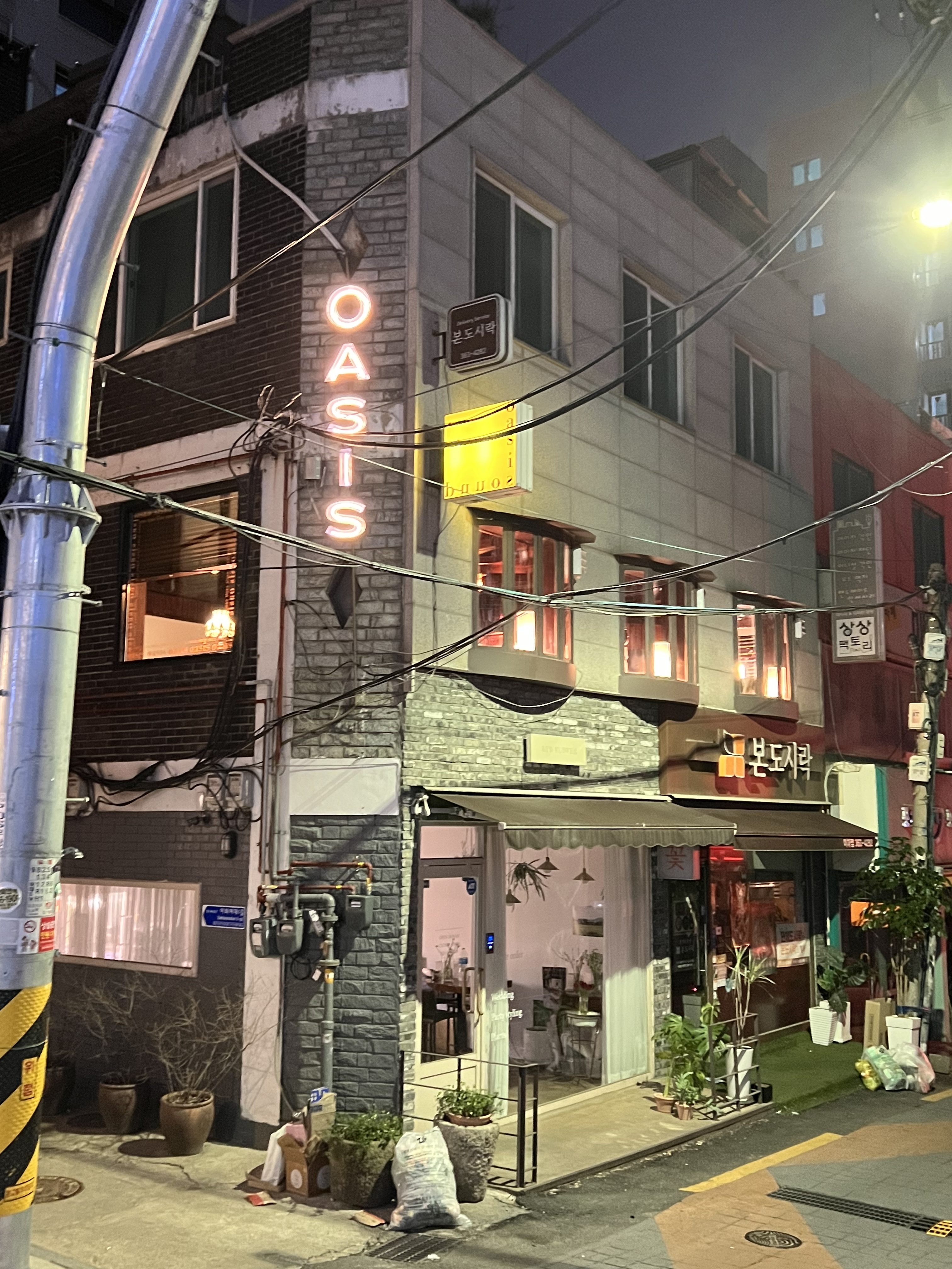 오아시스 사진