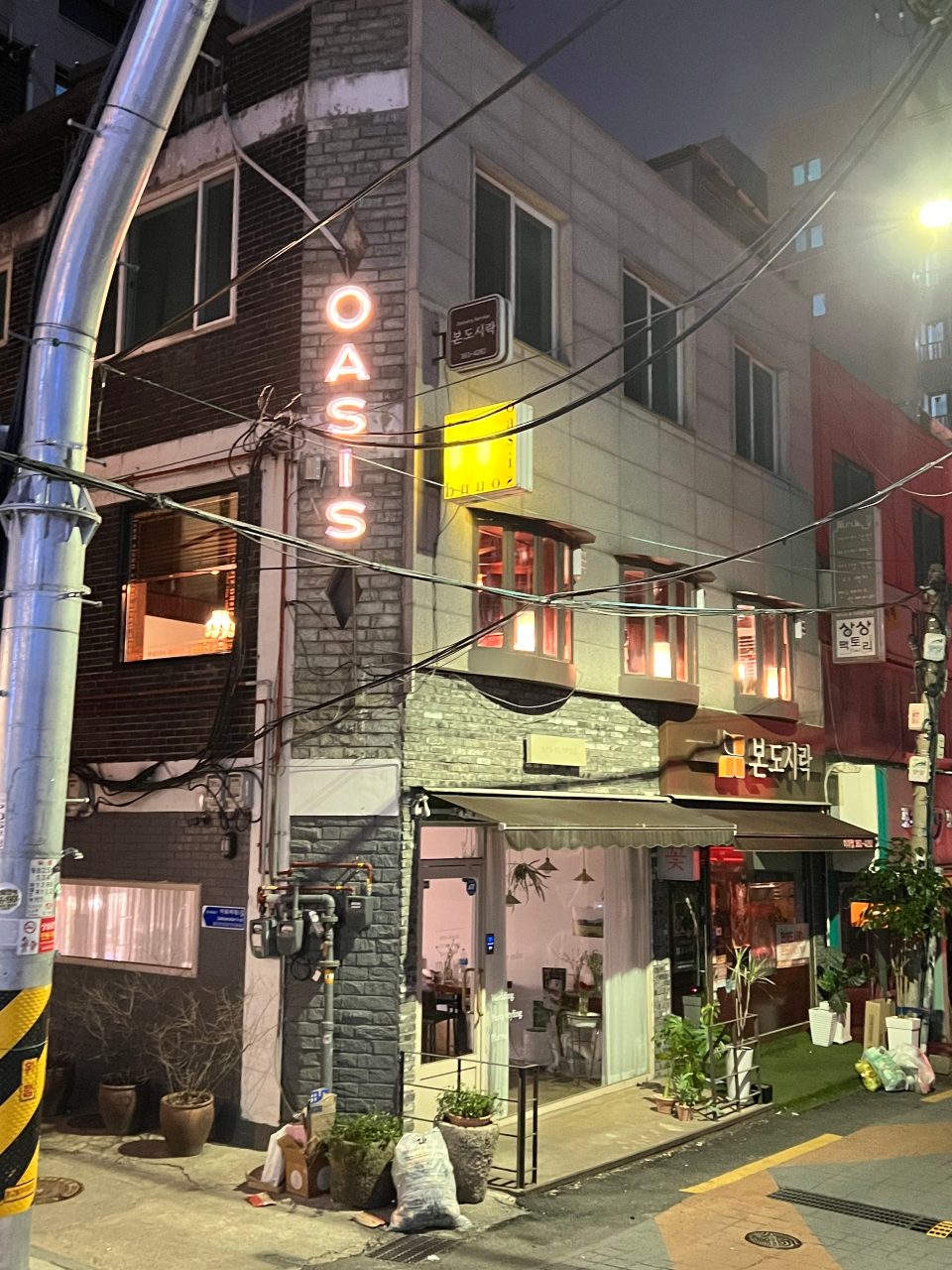 오아시스 사진