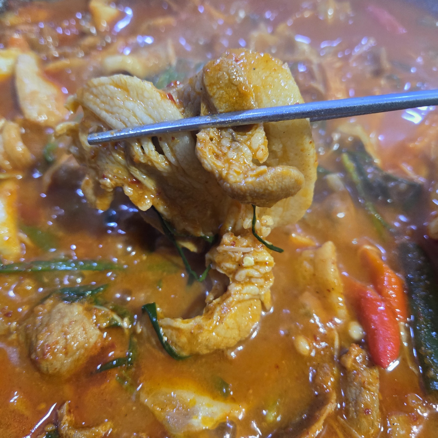 세상밖으로 사진 5