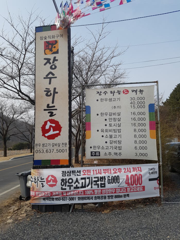 장수하늘소 사진 1