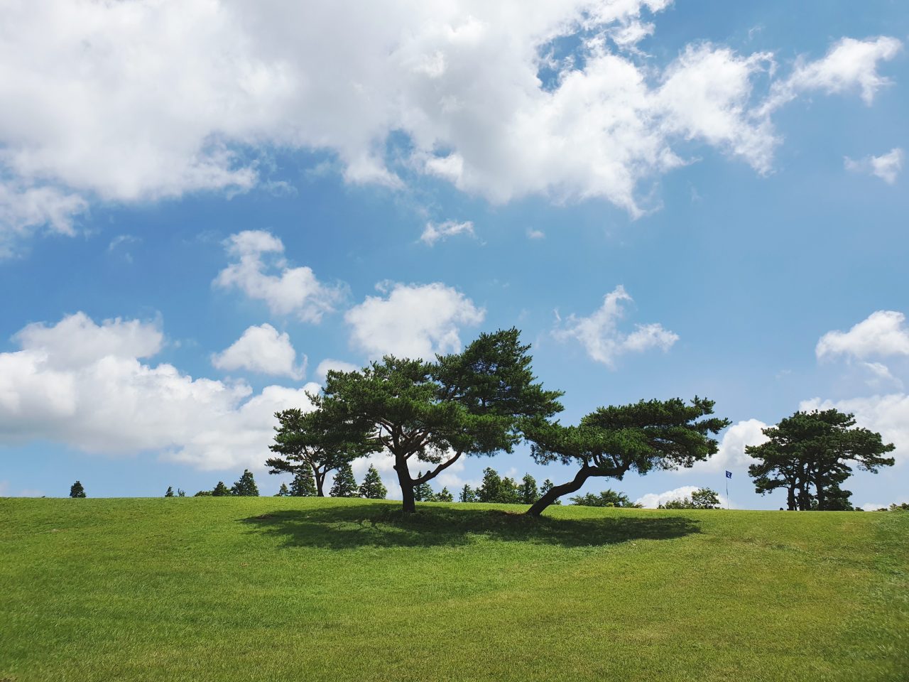 화랑의언덕 사진