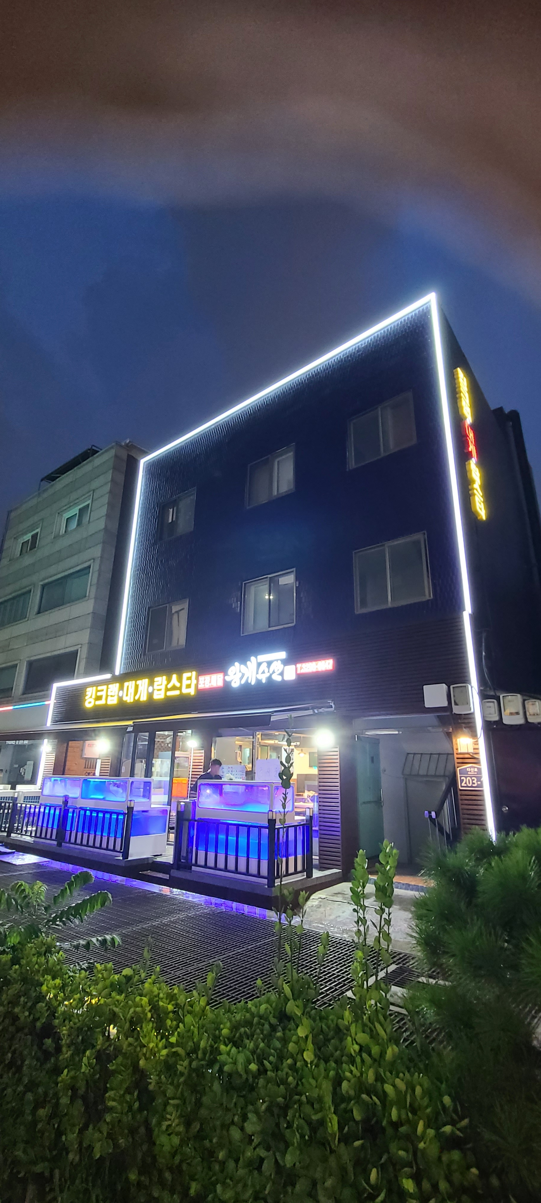 왕게수산 킹크랩 신당동직영점 사진 1
