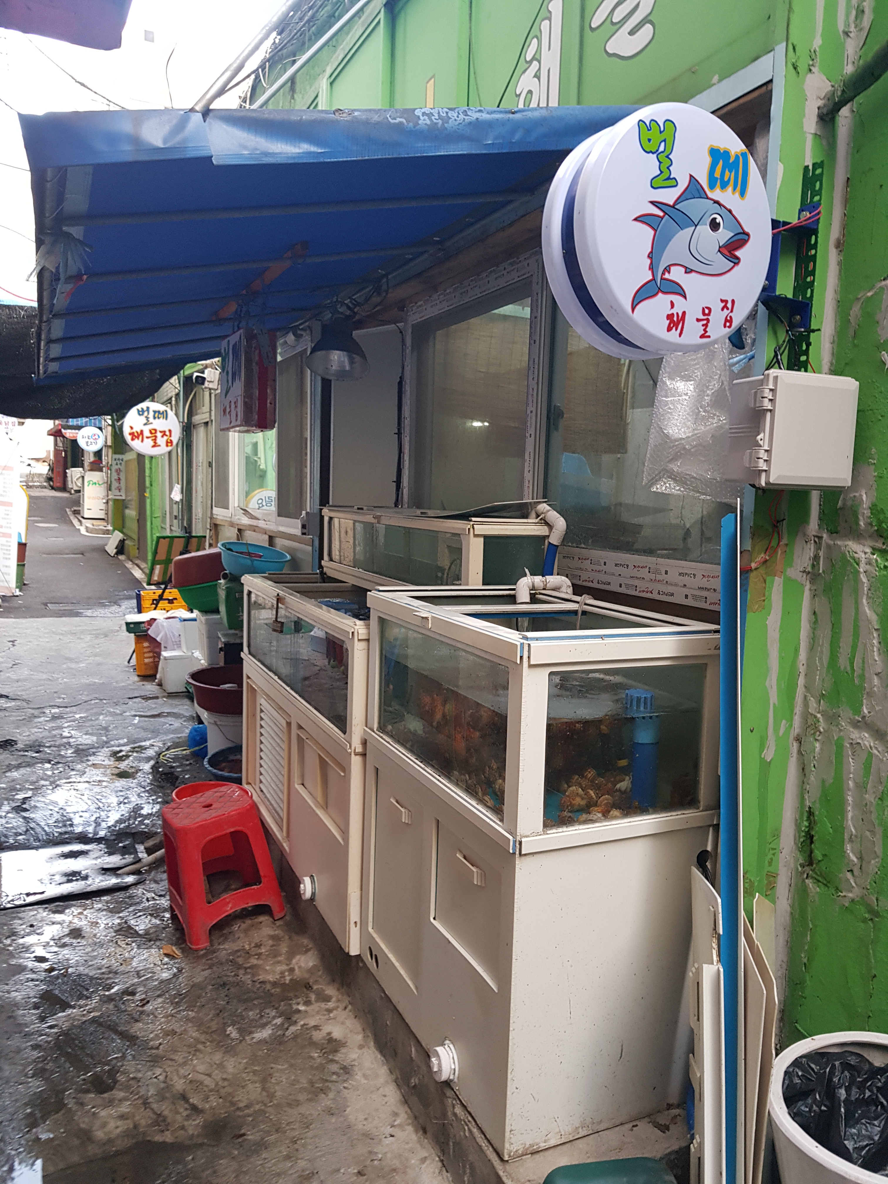 벌떼집 사진 1