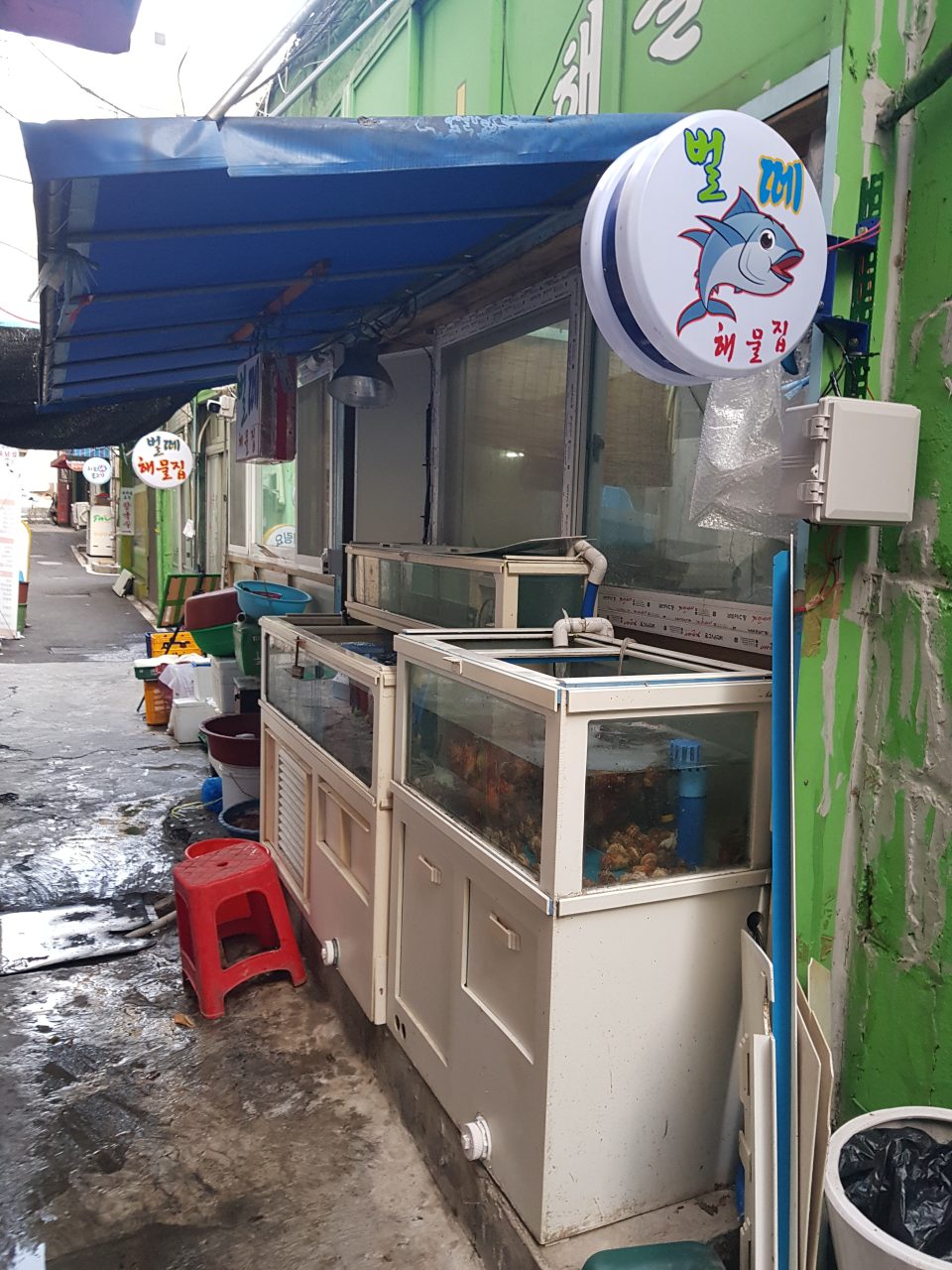 벌떼집 사진