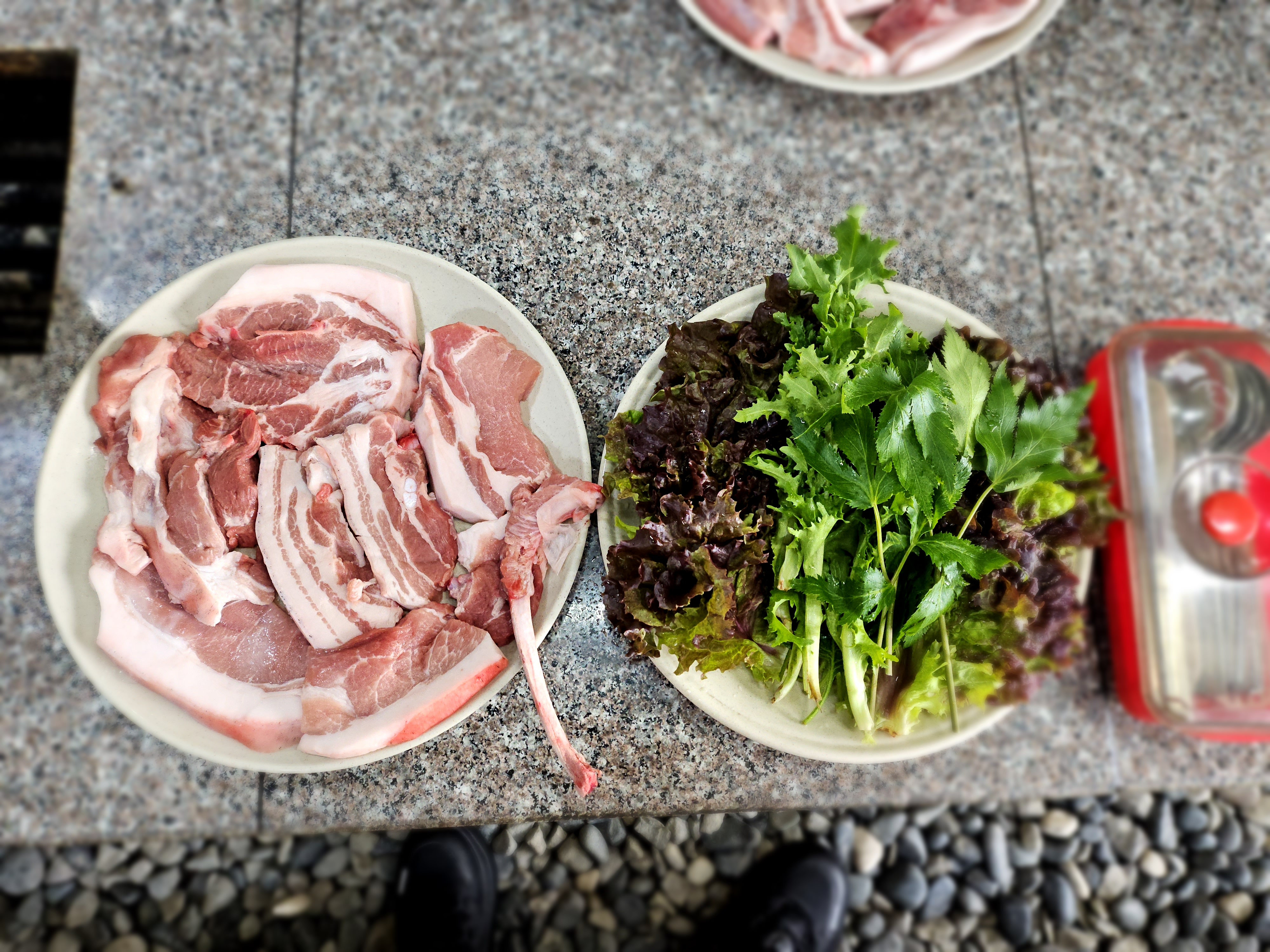 돼지사랑 사진