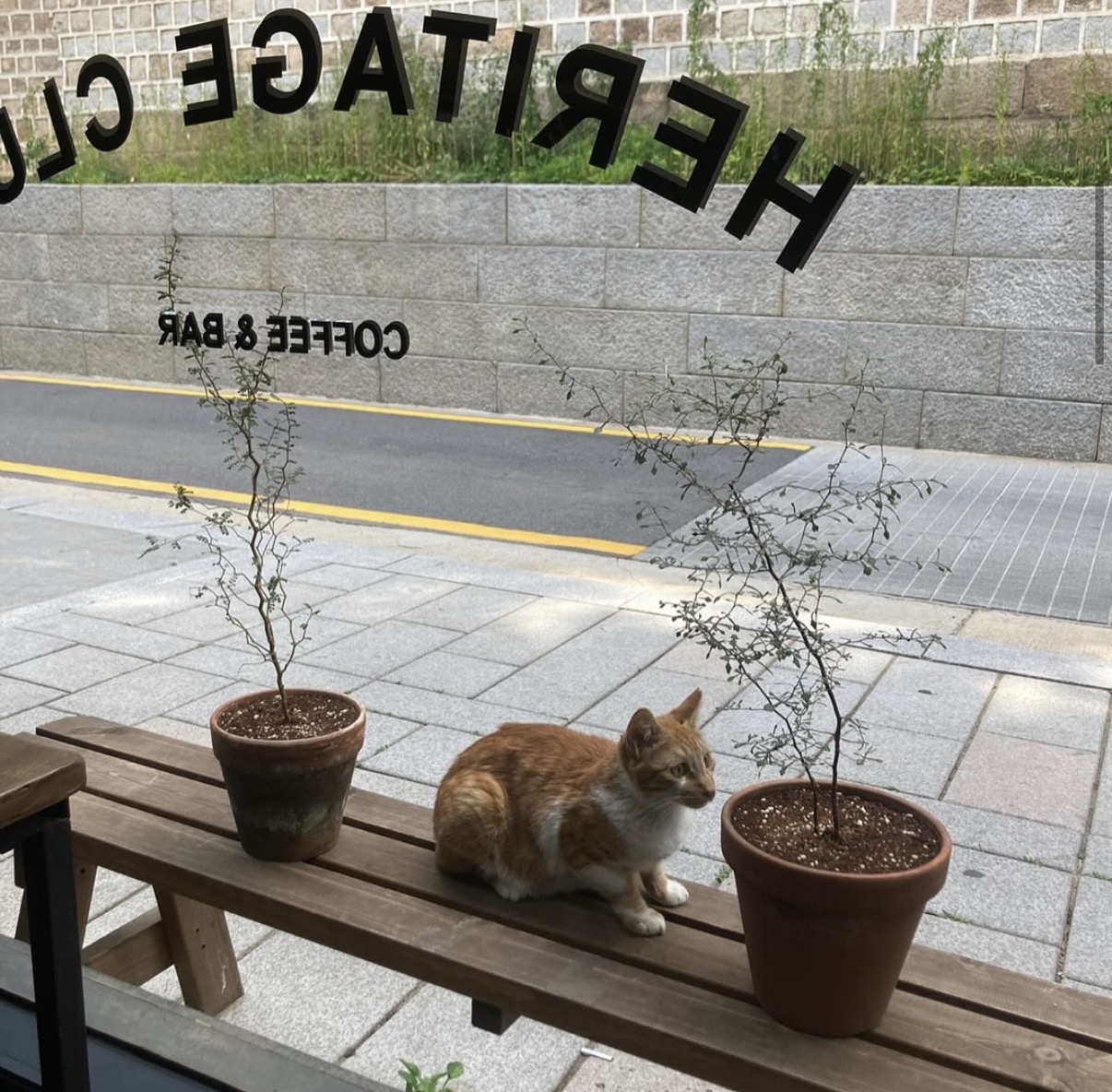 헤리티지클럽 사진 1