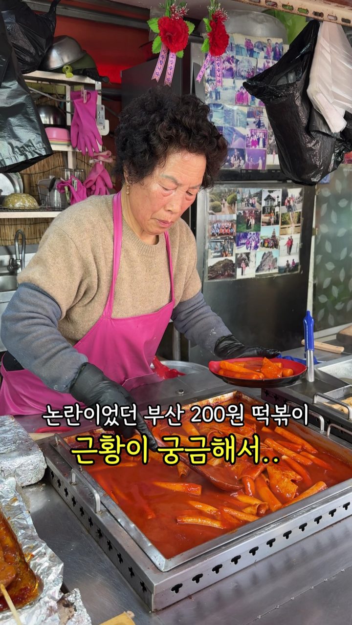 영국이네 사진