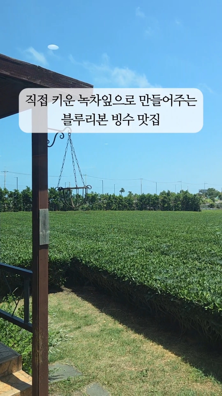 애월맛차 사진 2
