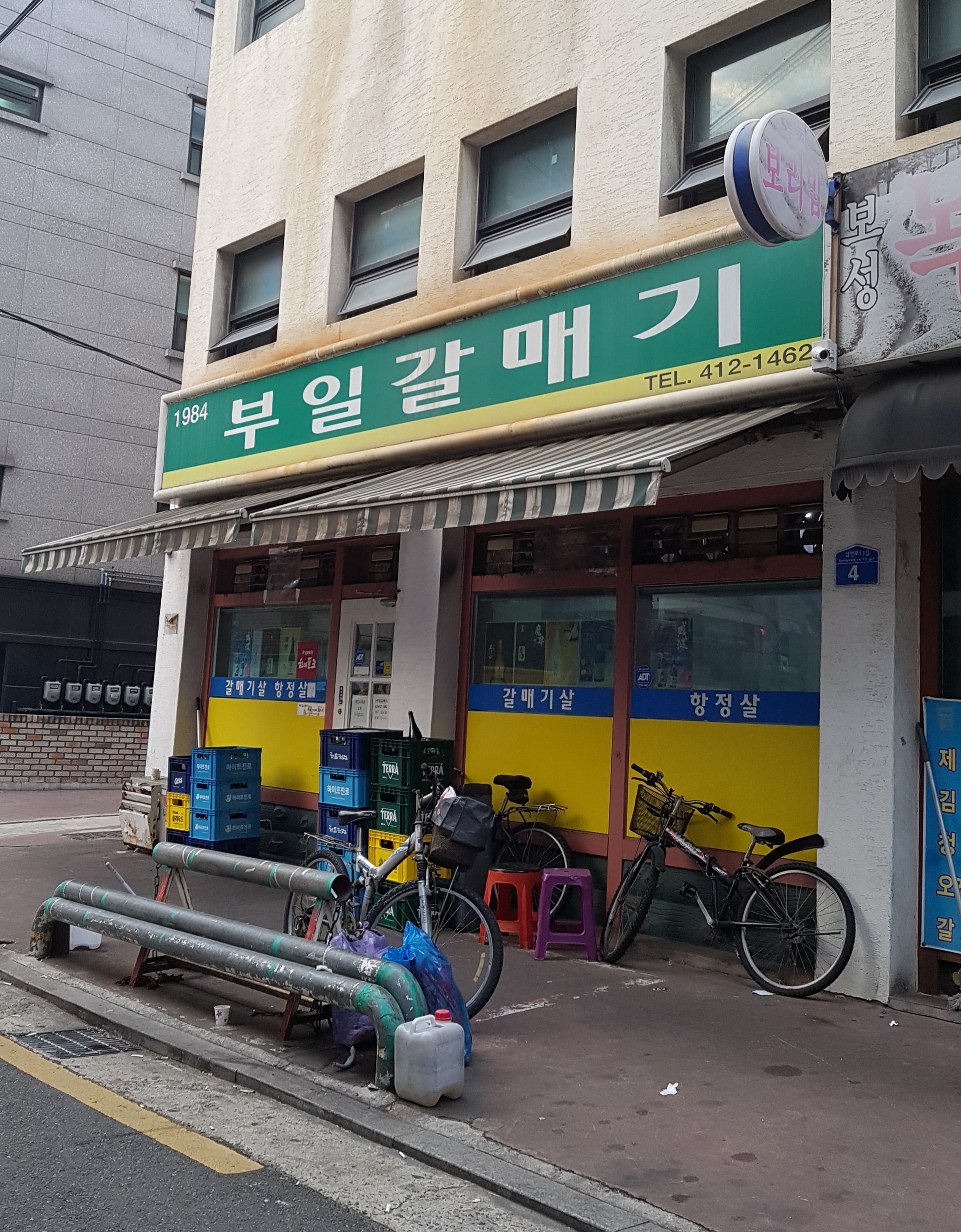 부일갈매기 사진 1