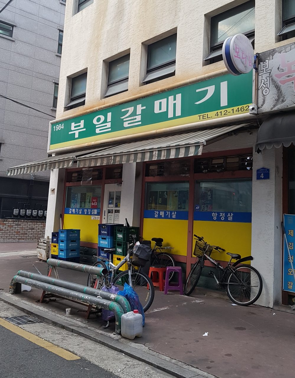 부일갈매기 사진