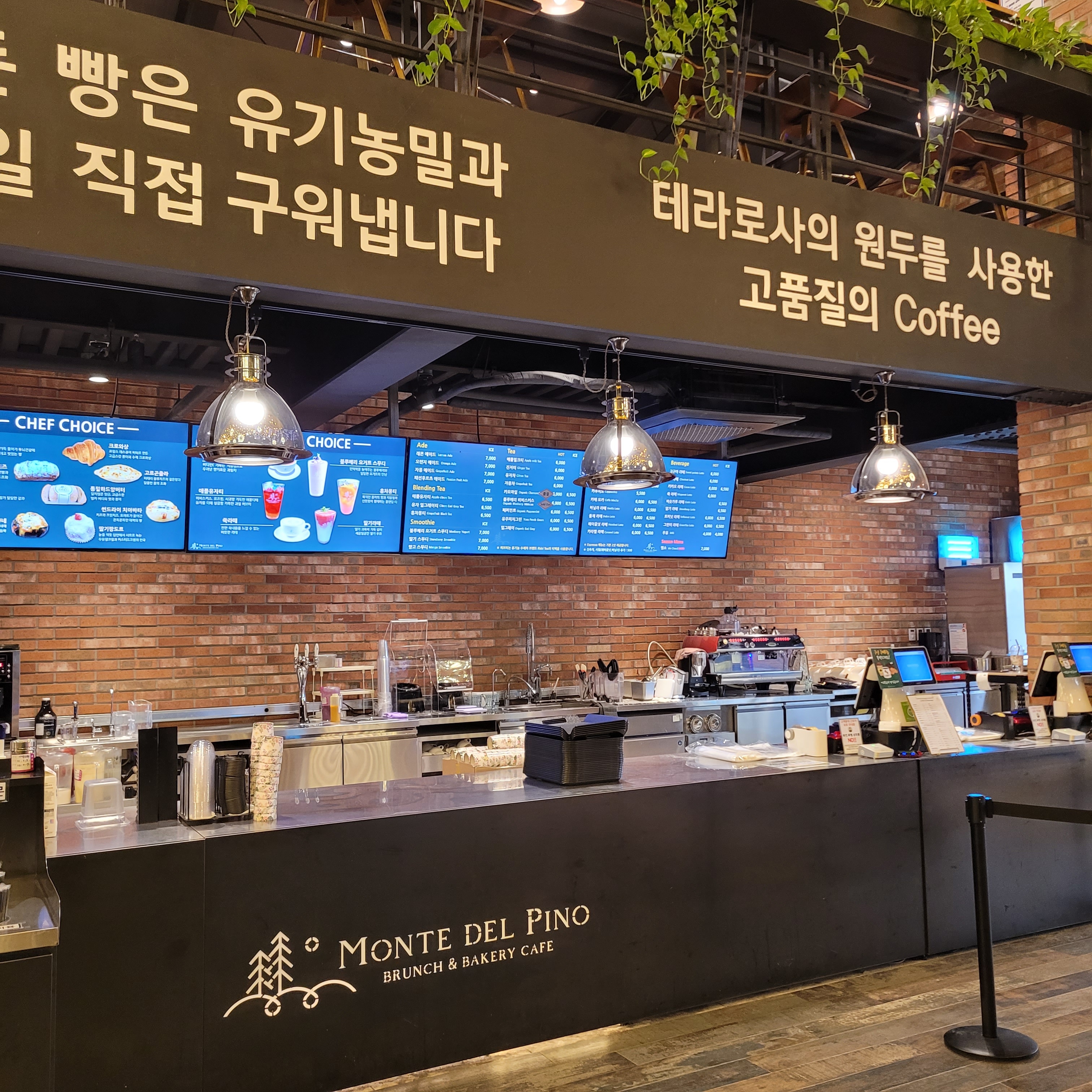 몬떼델피노 사진 4