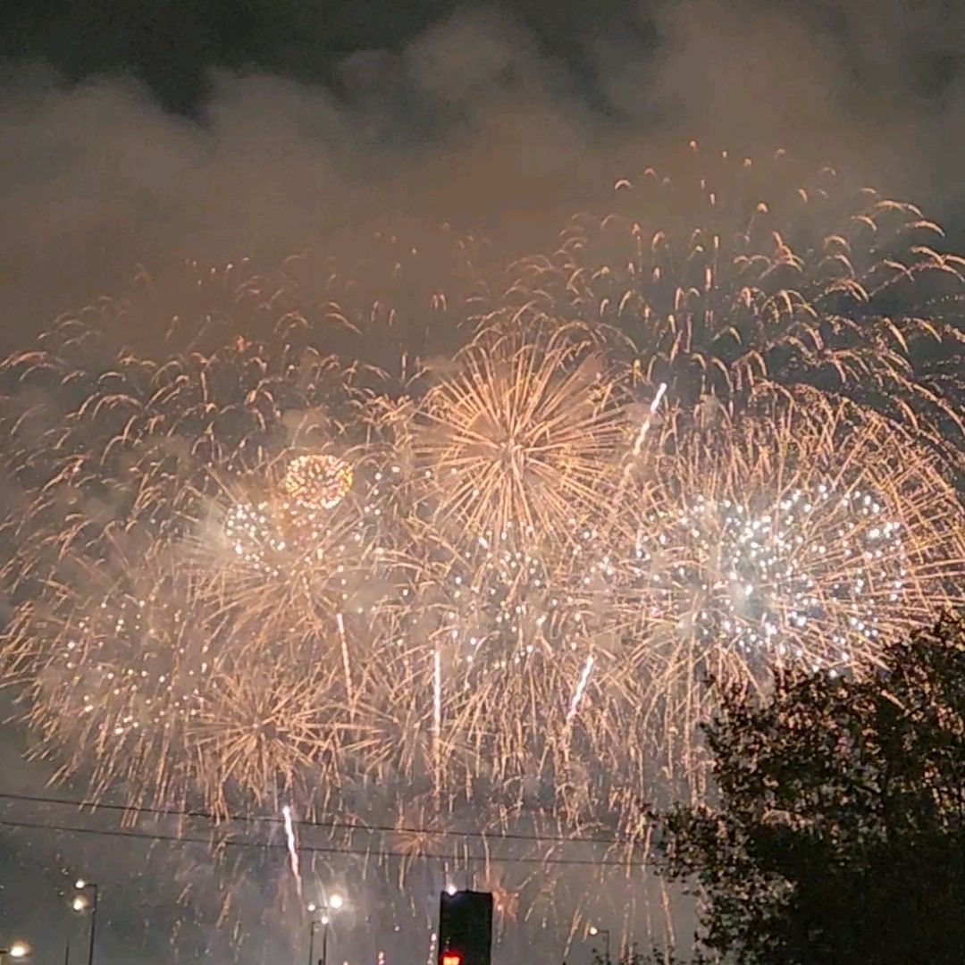 서울세계불꽃축제 사진