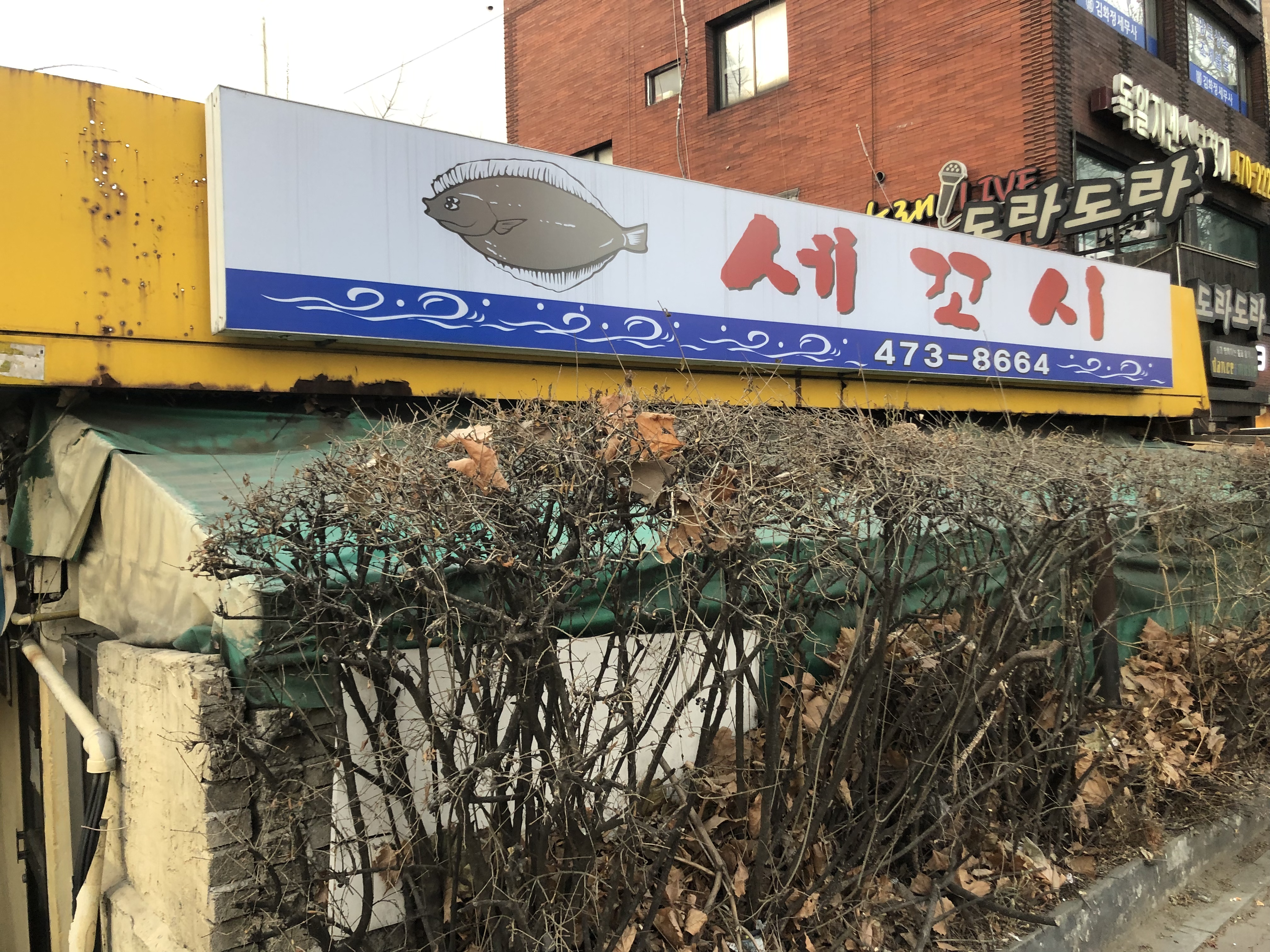 세꼬시 사진 1