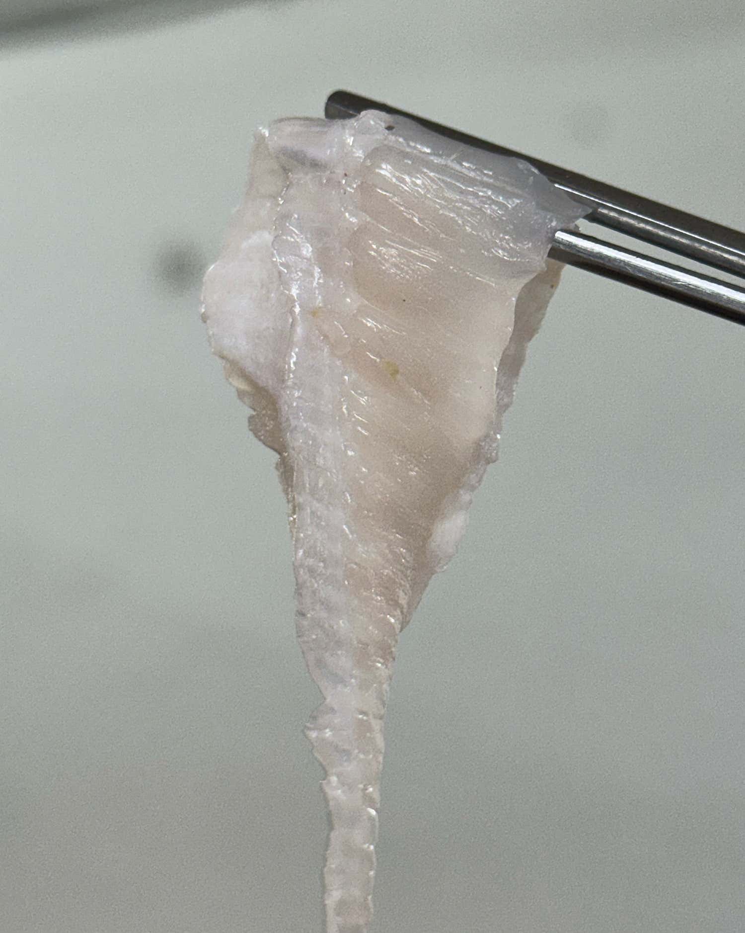 바다횟집 사진 4