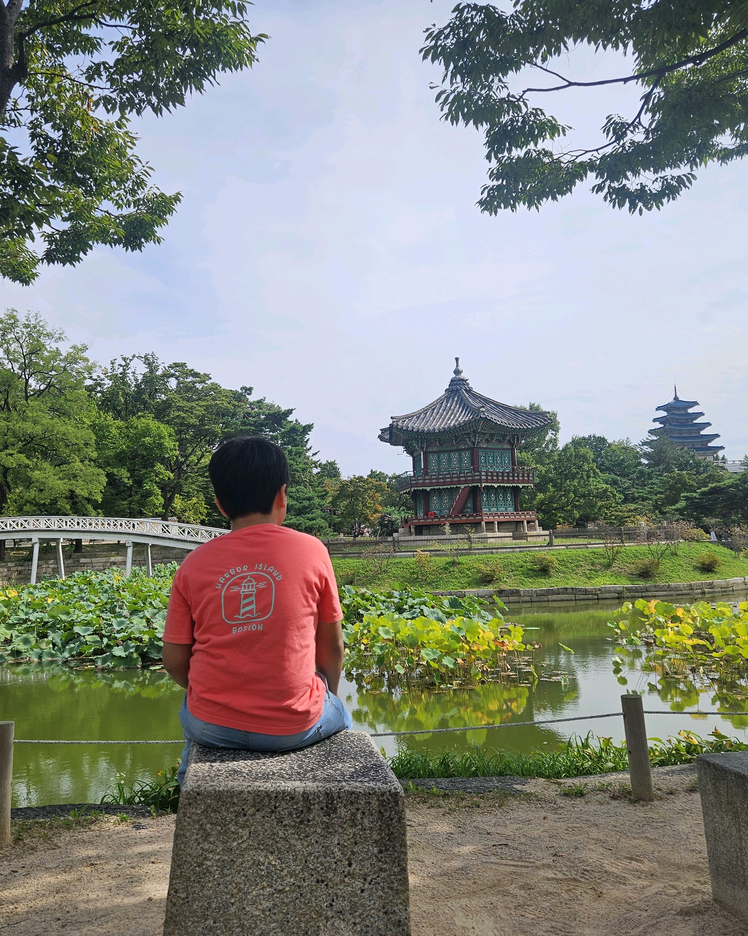 경복궁 향원정 사진 2