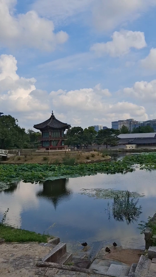 경복궁 향원정 사진 3