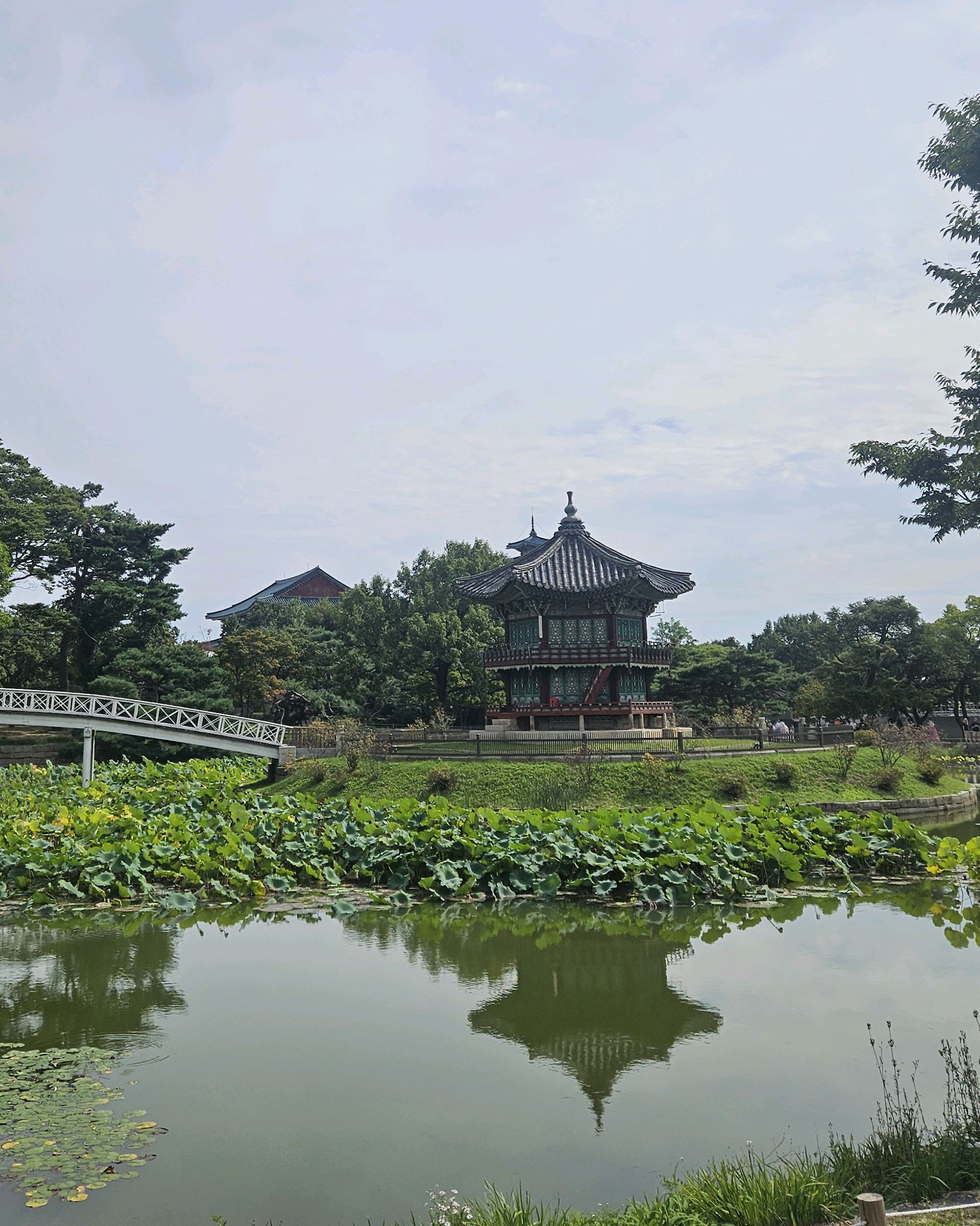 경복궁 향원정 사진 5