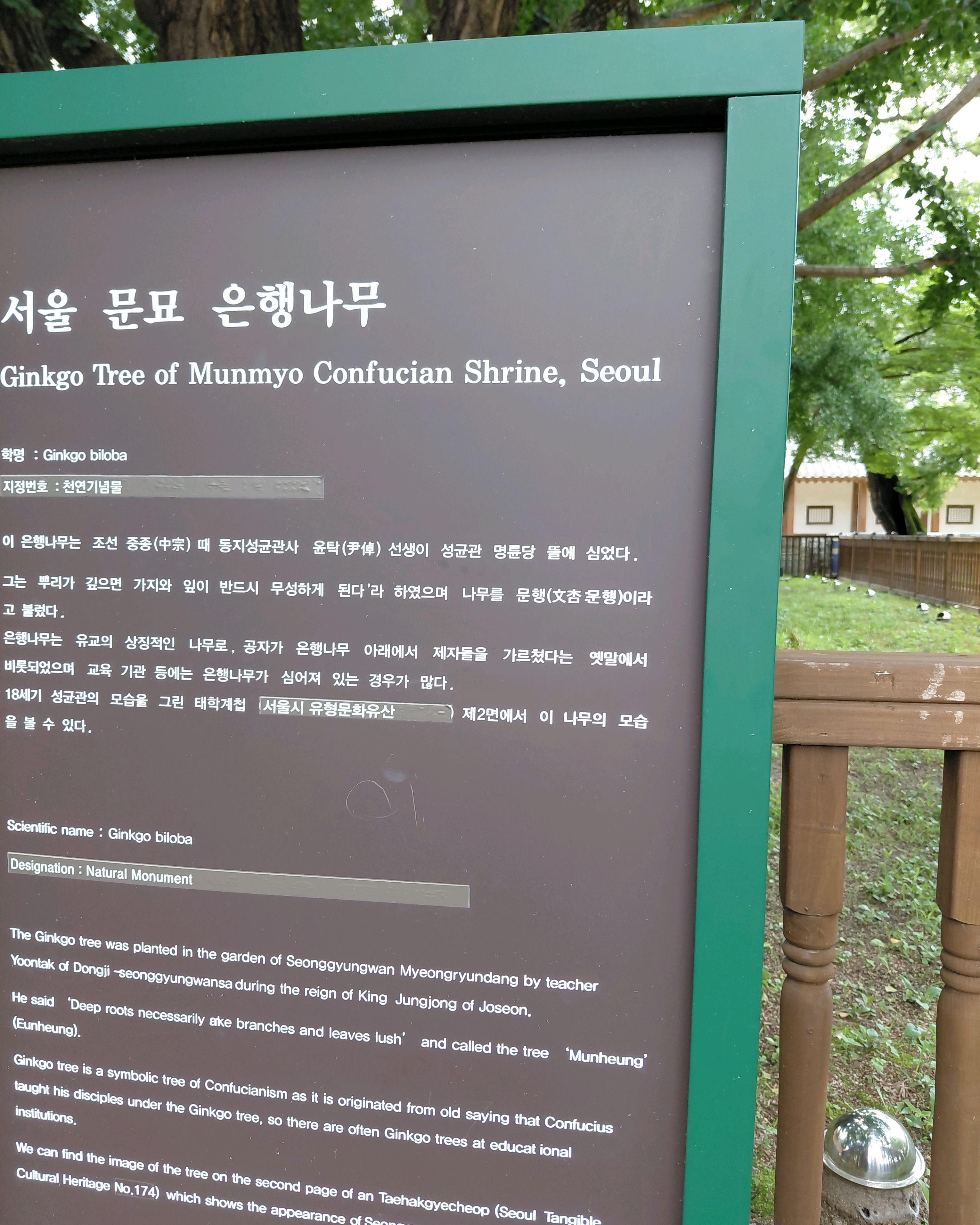 성균관 명륜당 사진 4