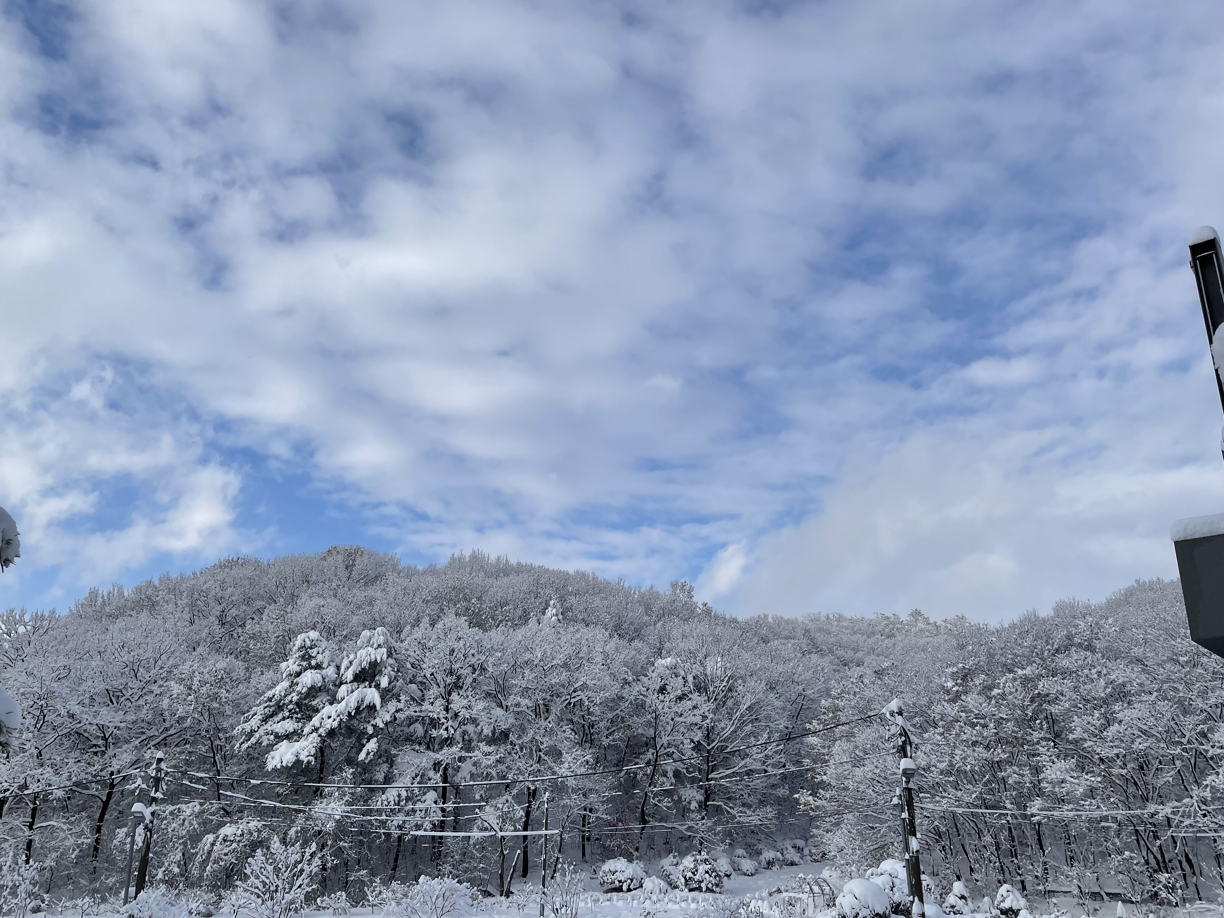 산골수목원 사진 2