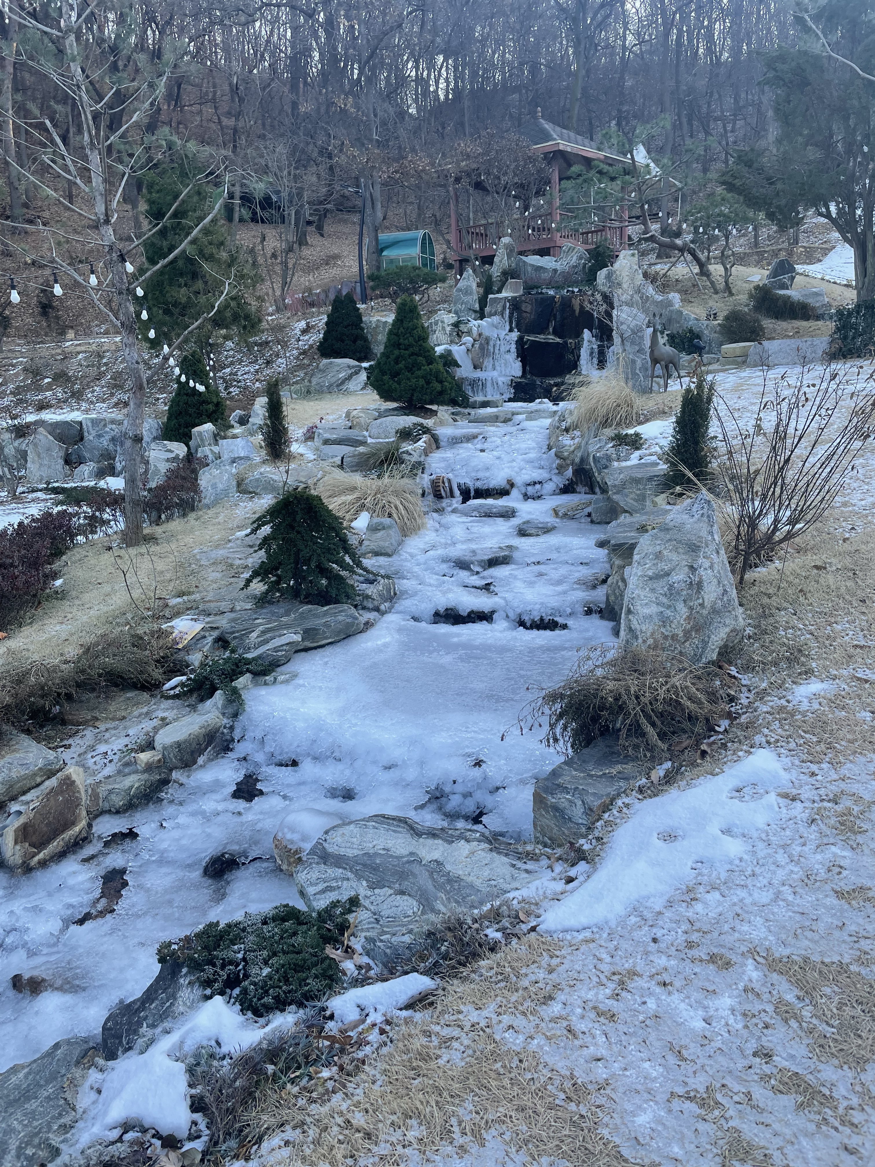 산골수목원 사진 3