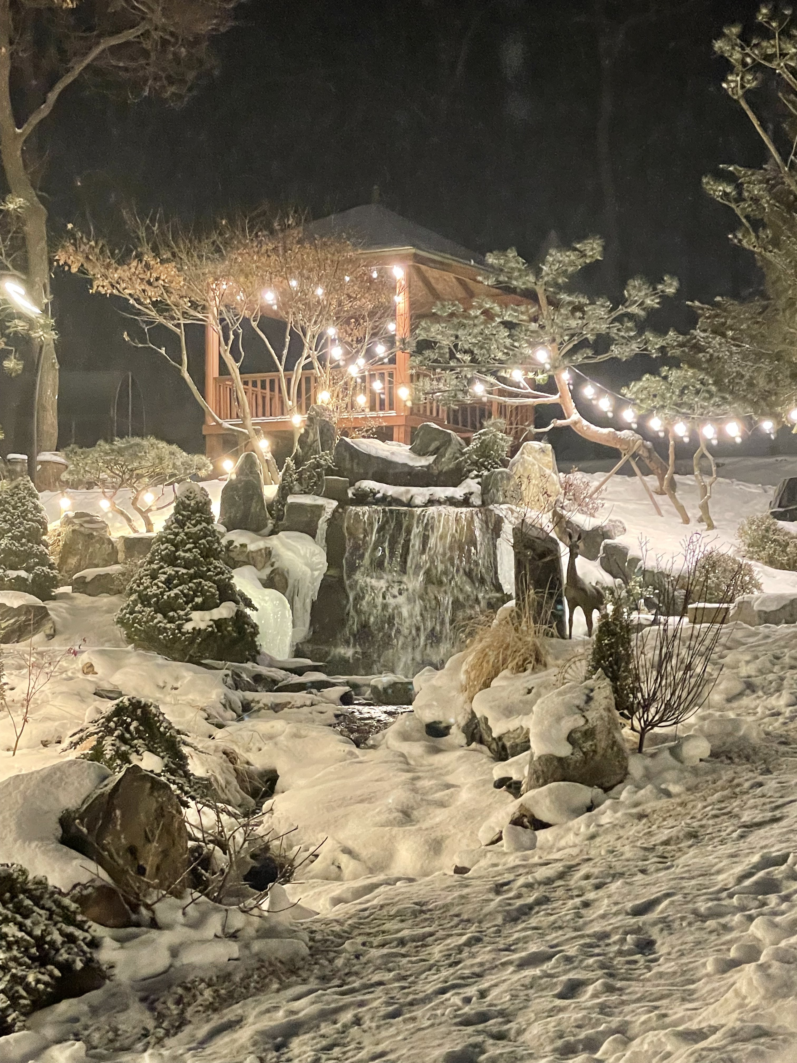 산골수목원 사진 4