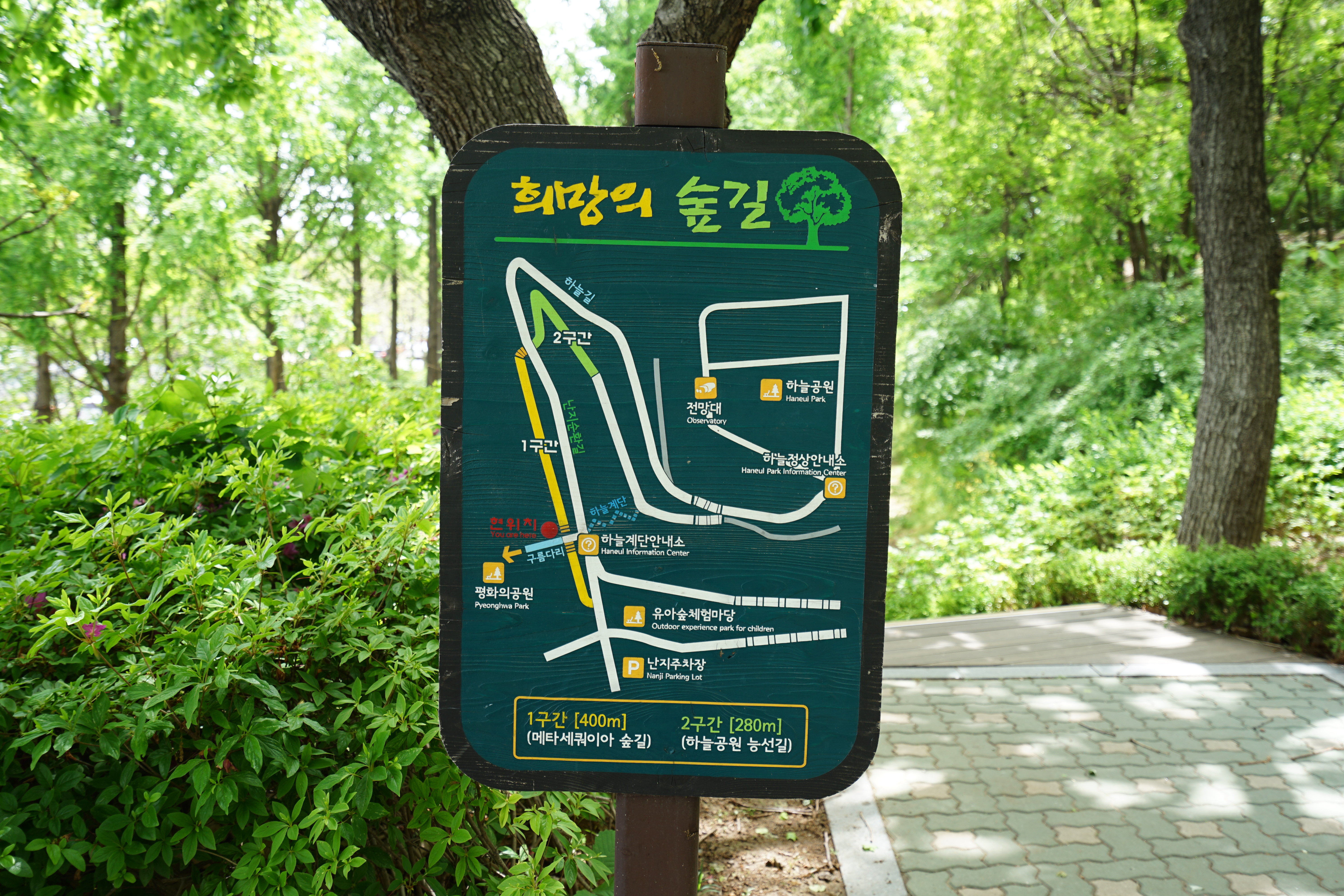 하늘공원메타세콰이어길 사진 2