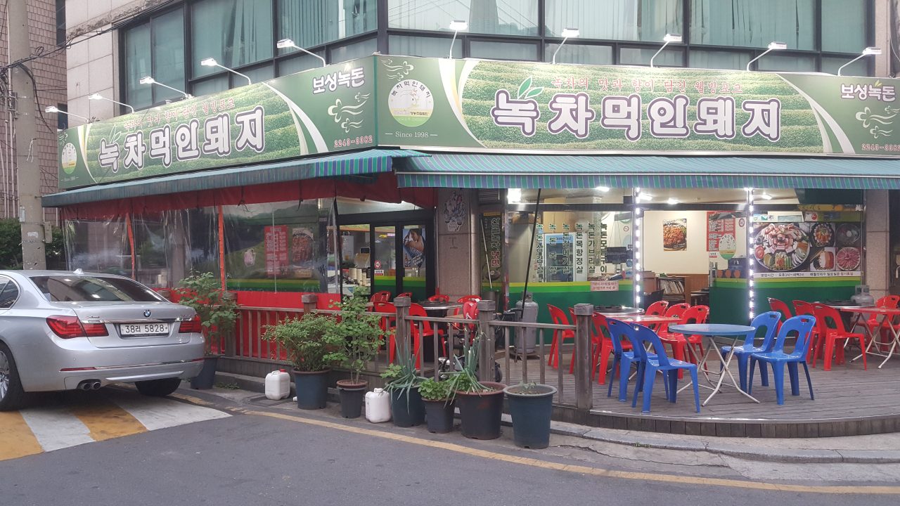 녹차먹인돼지 사진