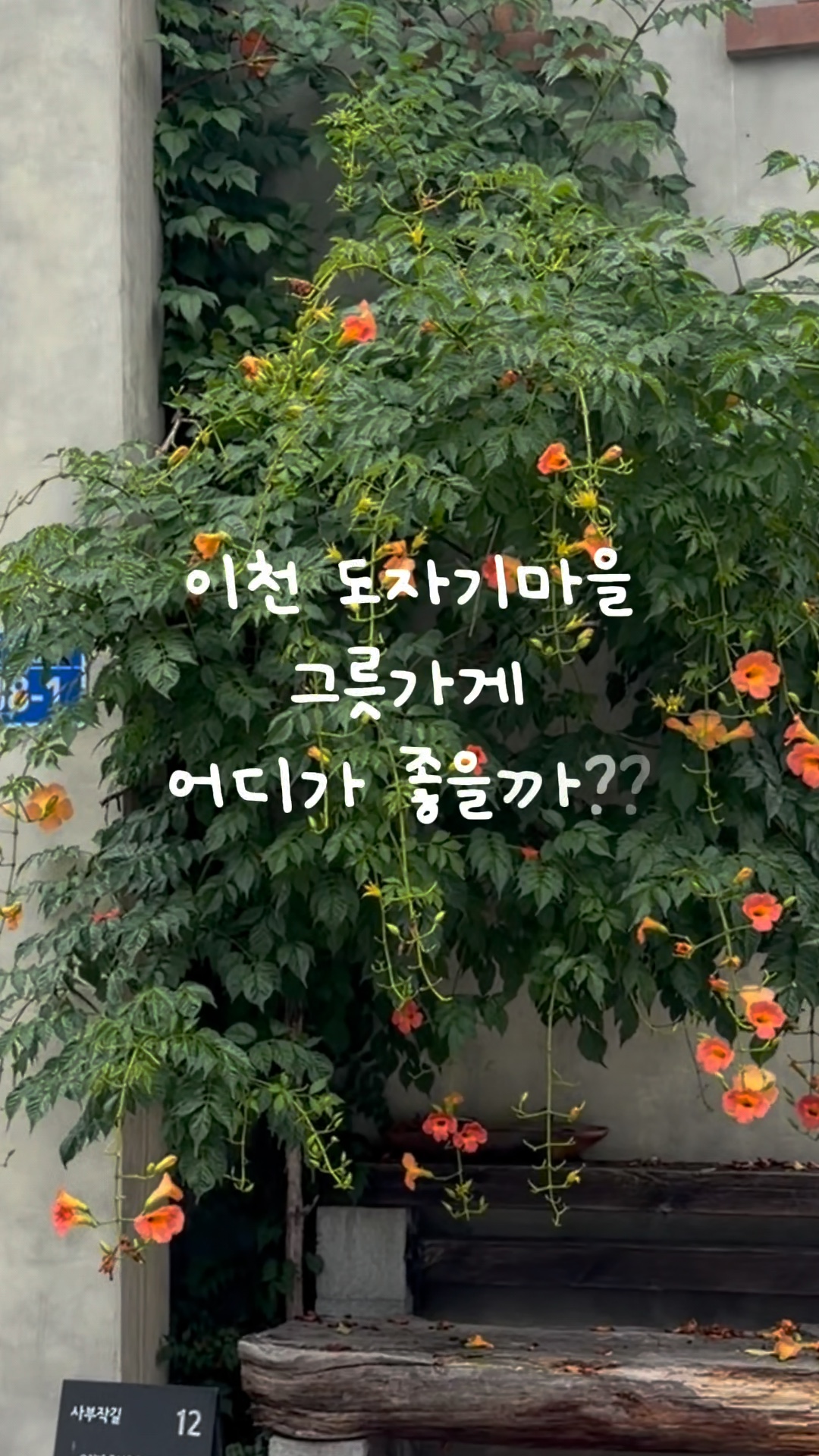 이천도자예술마을 사진 3