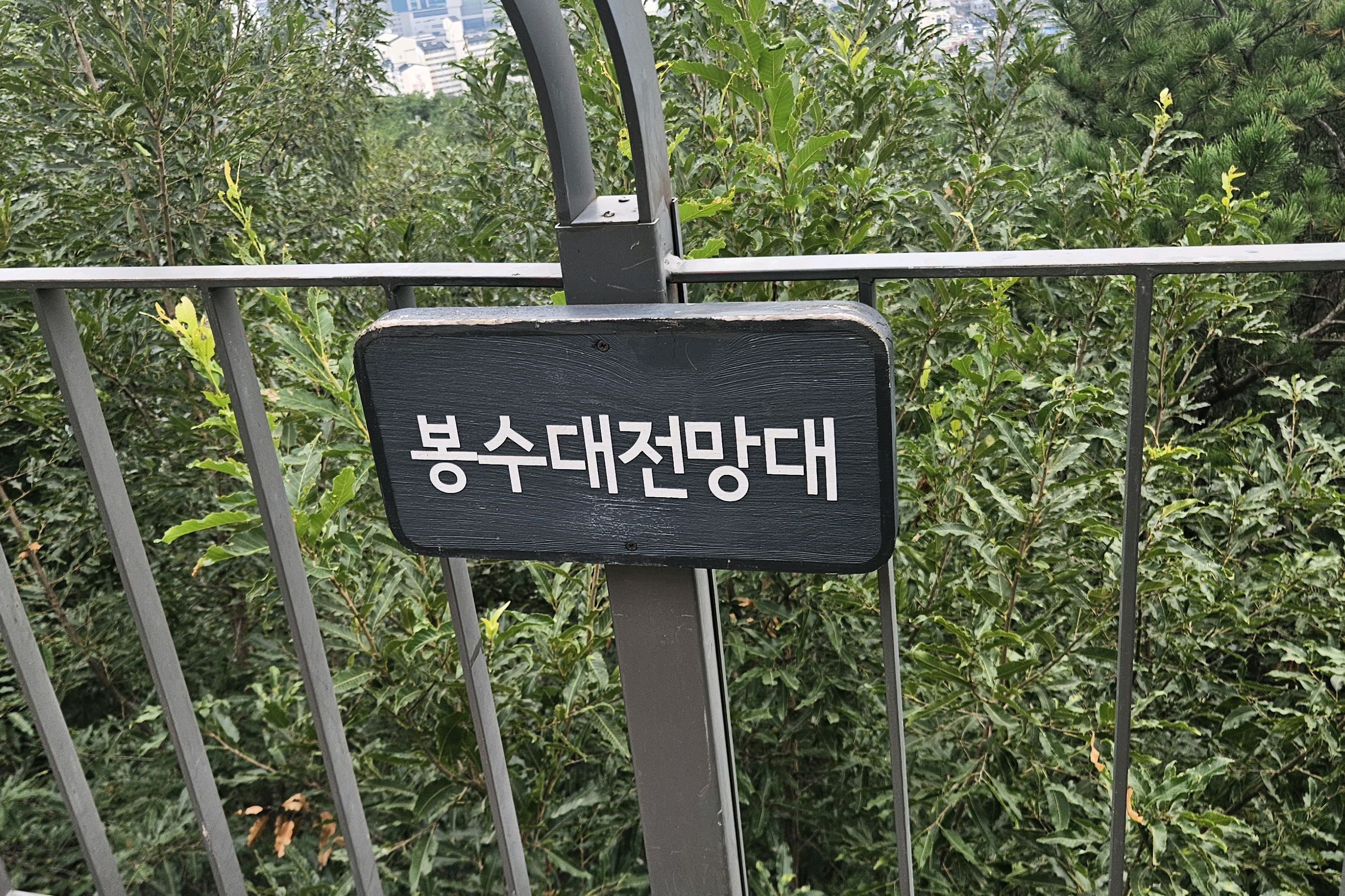 봉화산 사진 4